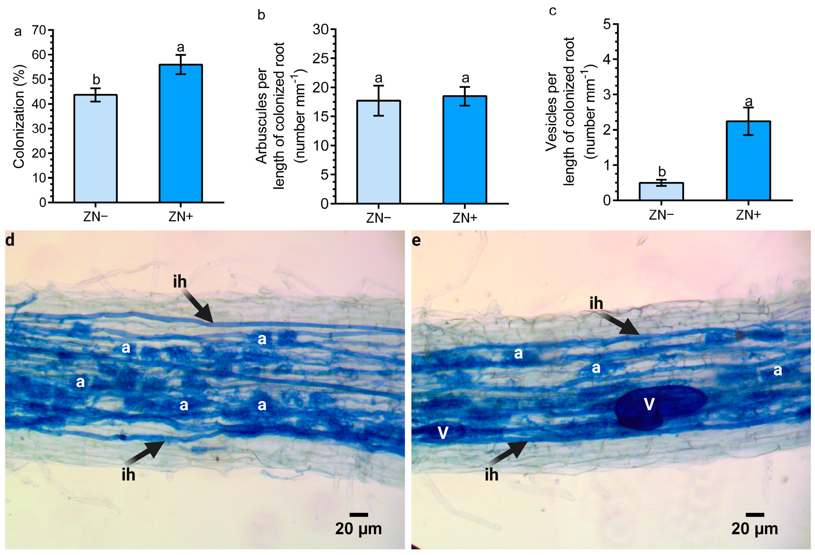 Agronomy 15 00156 g007
