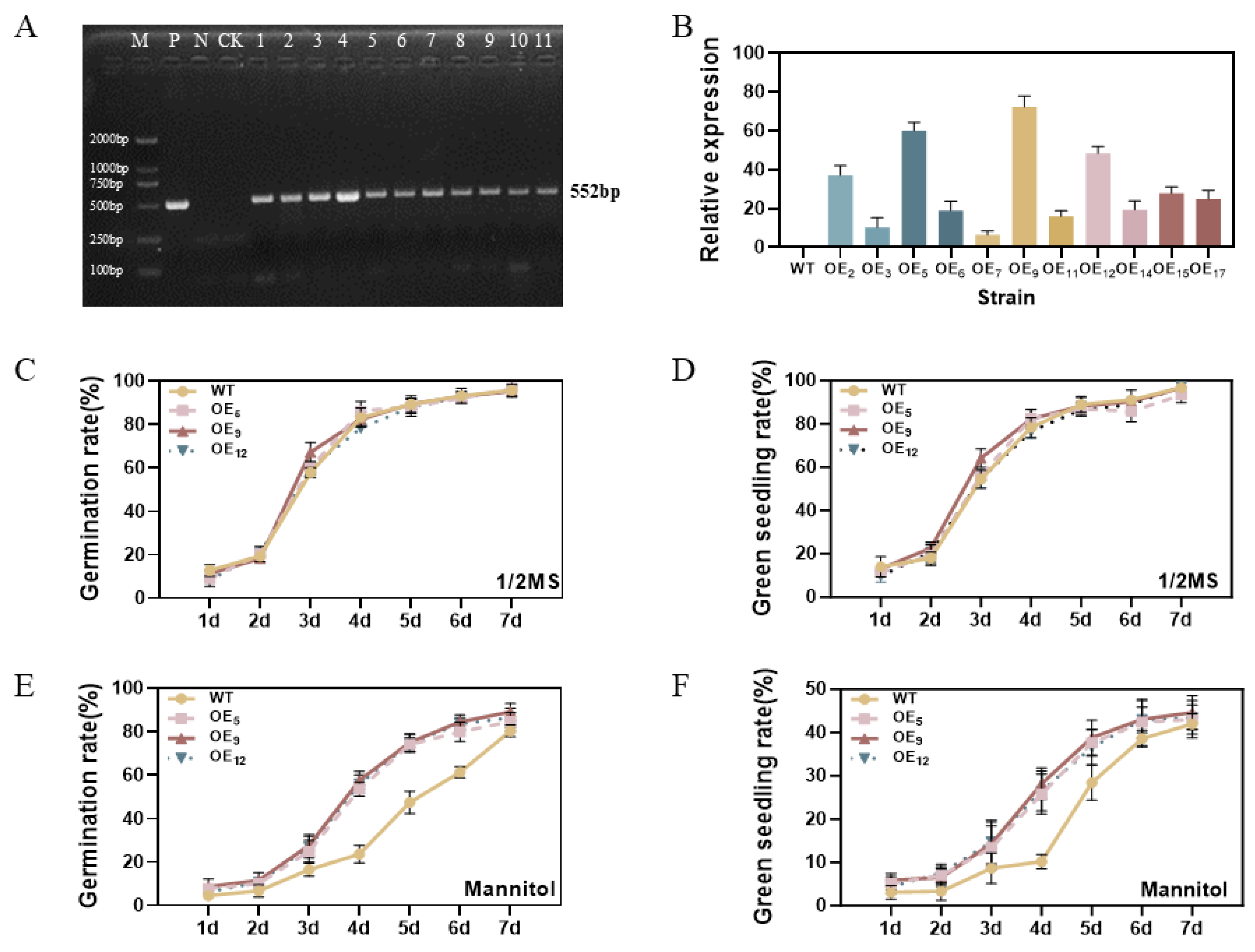 Agronomy 15 00192 g003 Agronomy 15 00192 g003