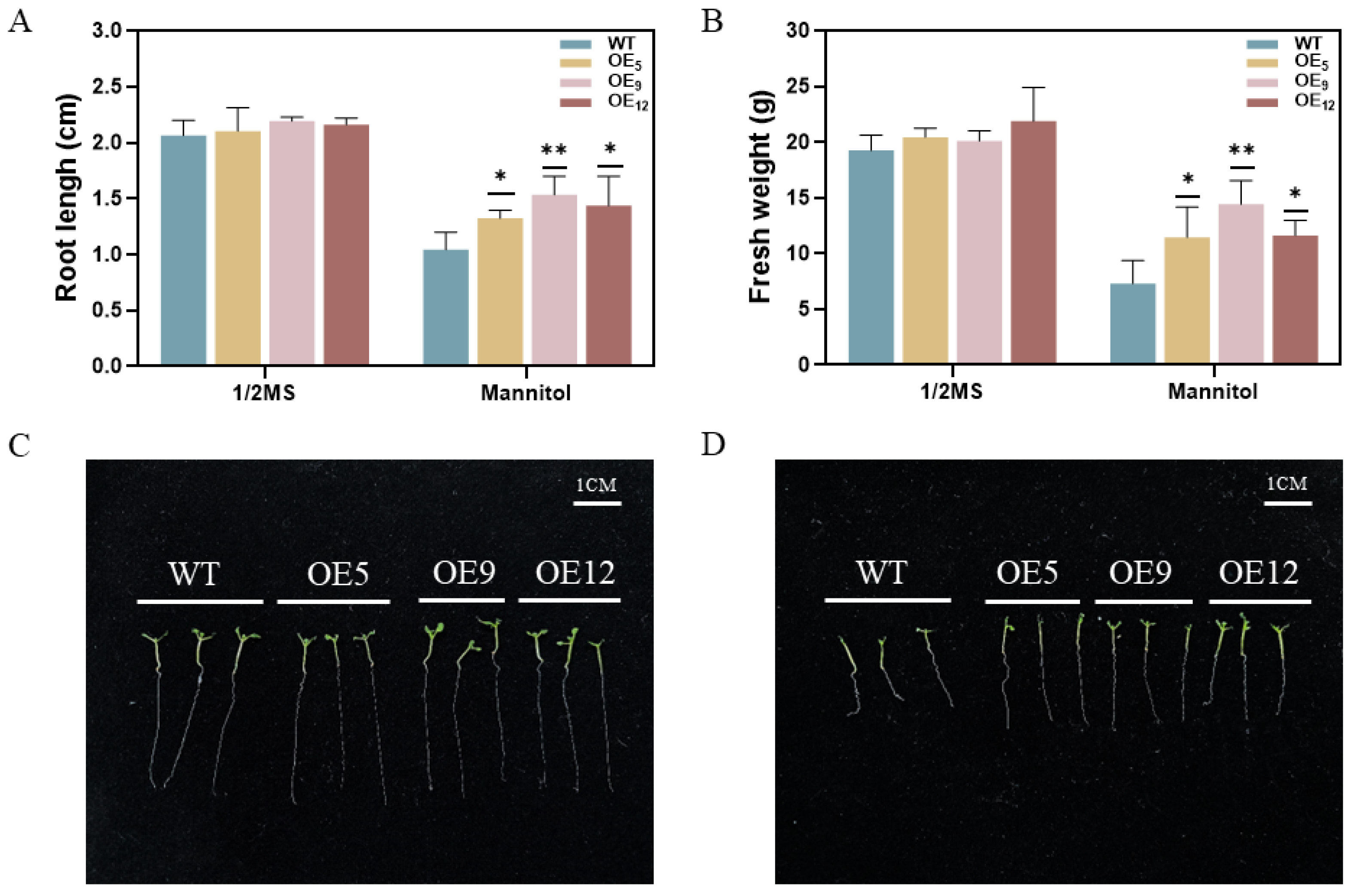 Agronomy 15 00192 g004 Agronomy 15 00192 g004