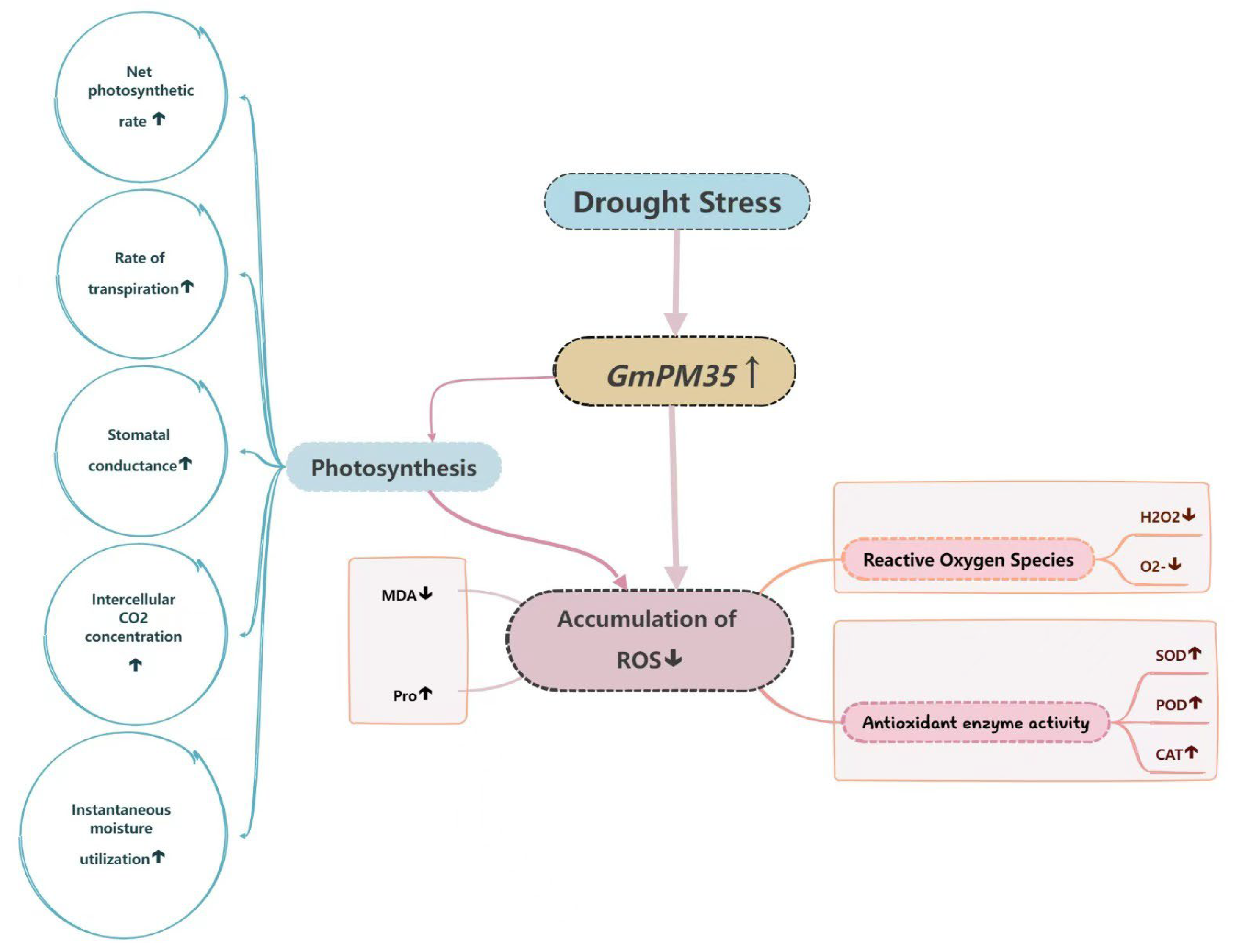 Agronomy 15 00192 g016 Agronomy 15 00192 g016