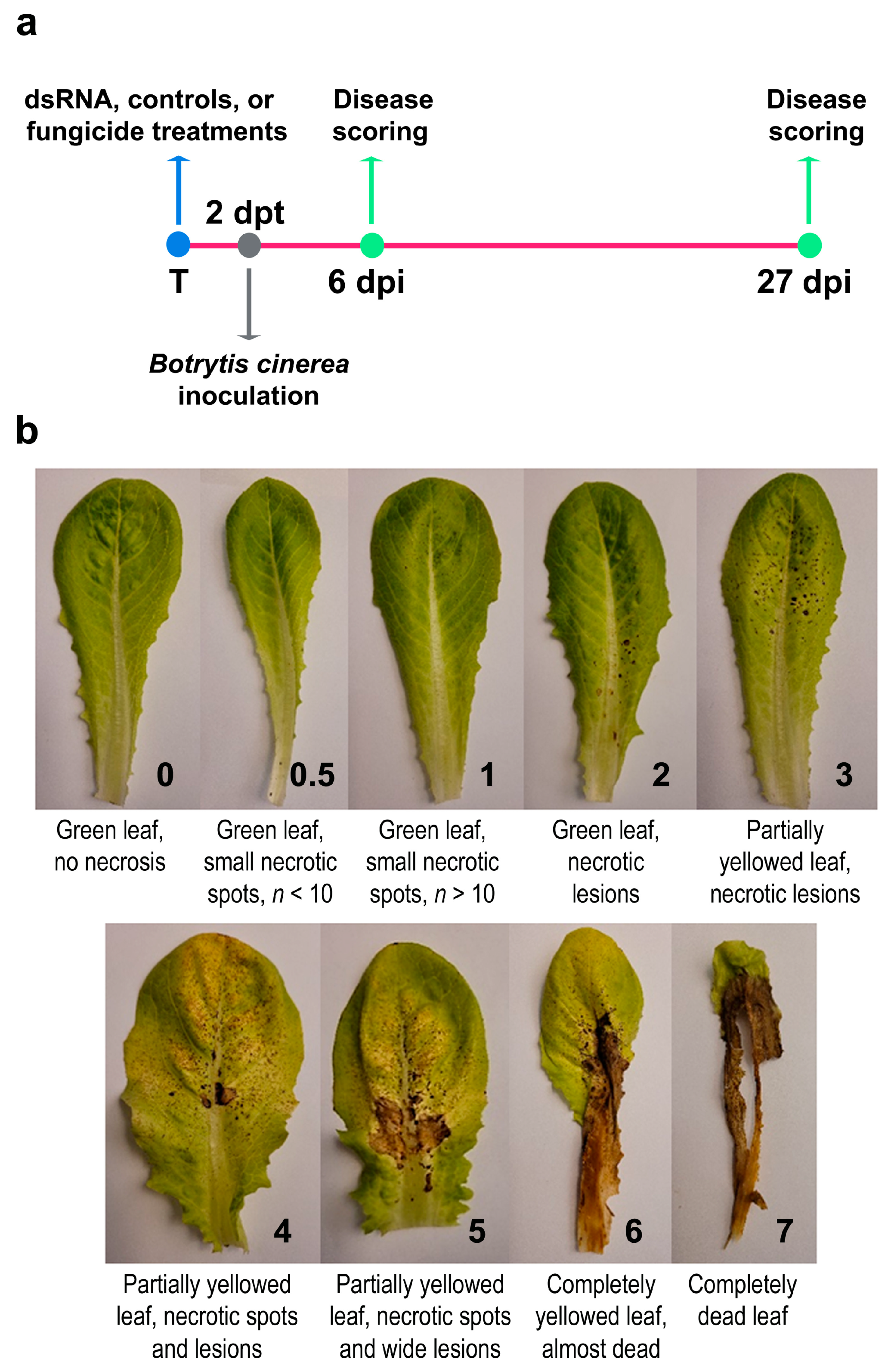 Agronomy 15 00194 g001