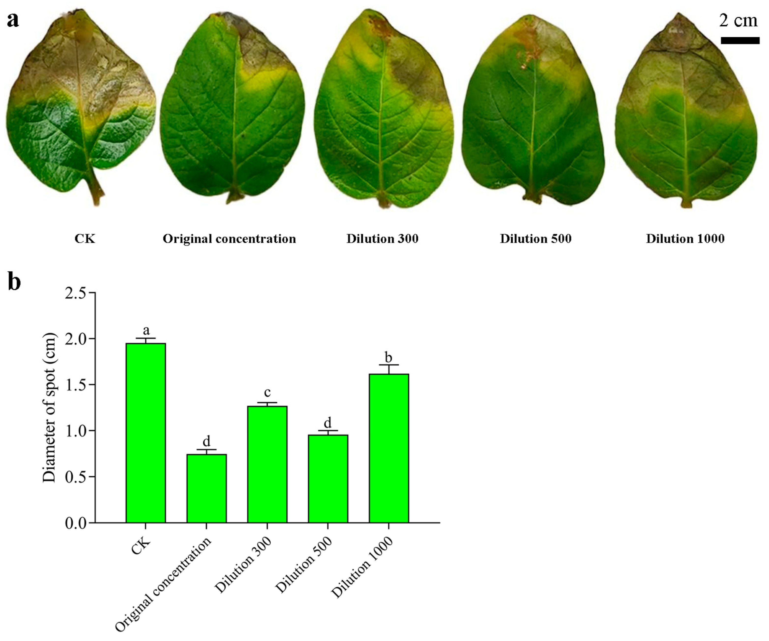 Agronomy 15 00206 g007 Agronomy 15 00206 g007