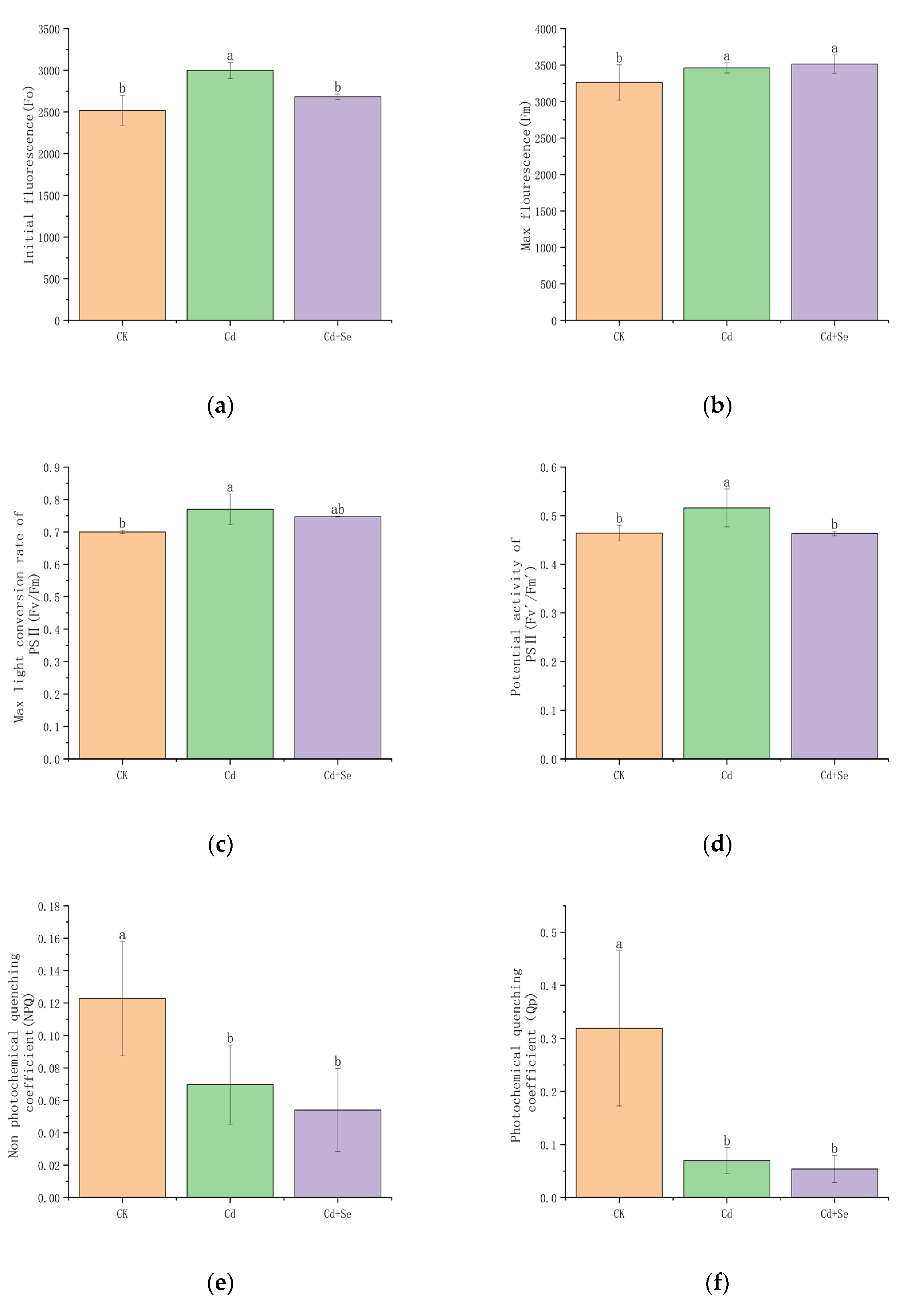 Agronomy 15 00246 g004a