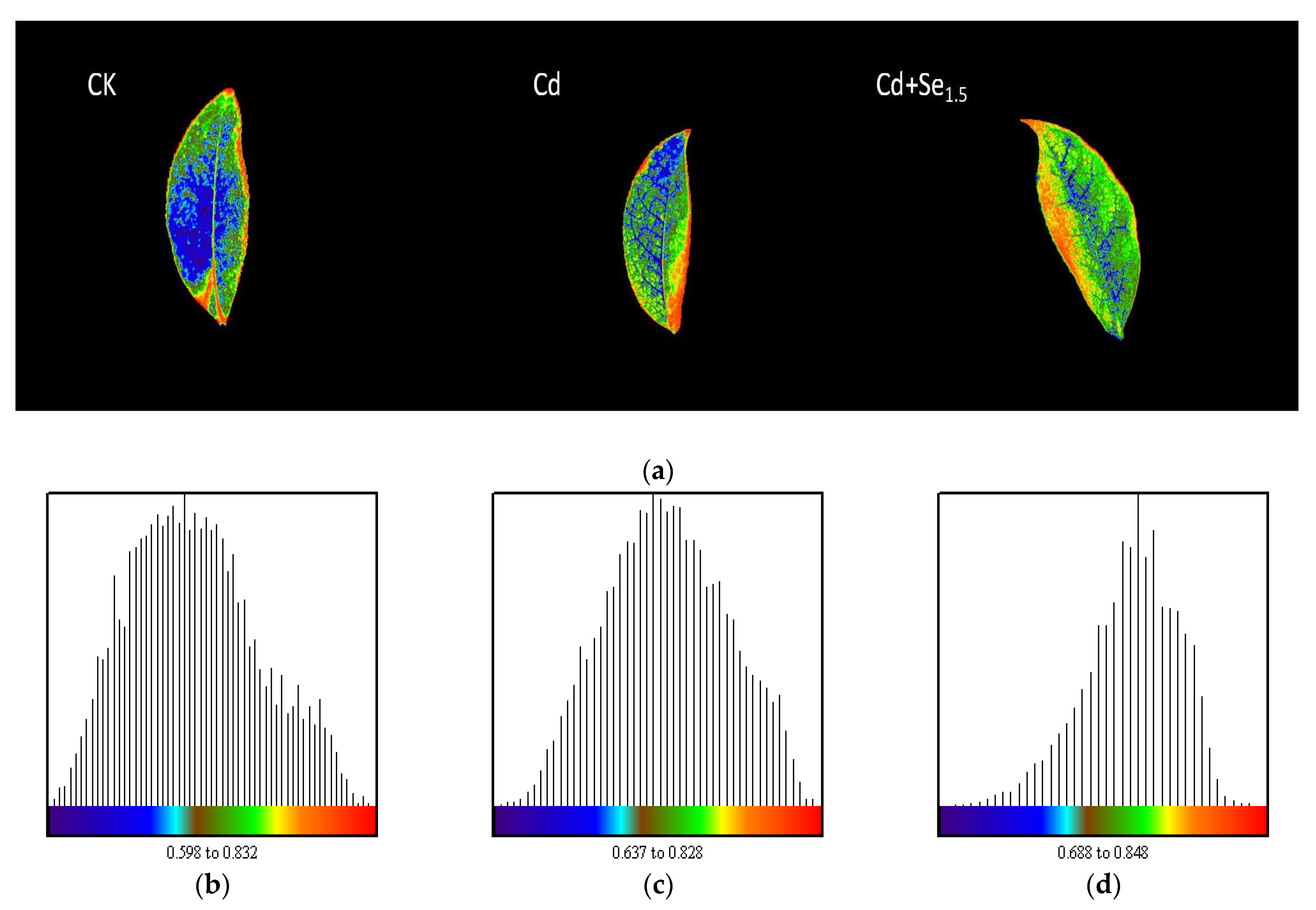 Agronomy 15 00246 g005