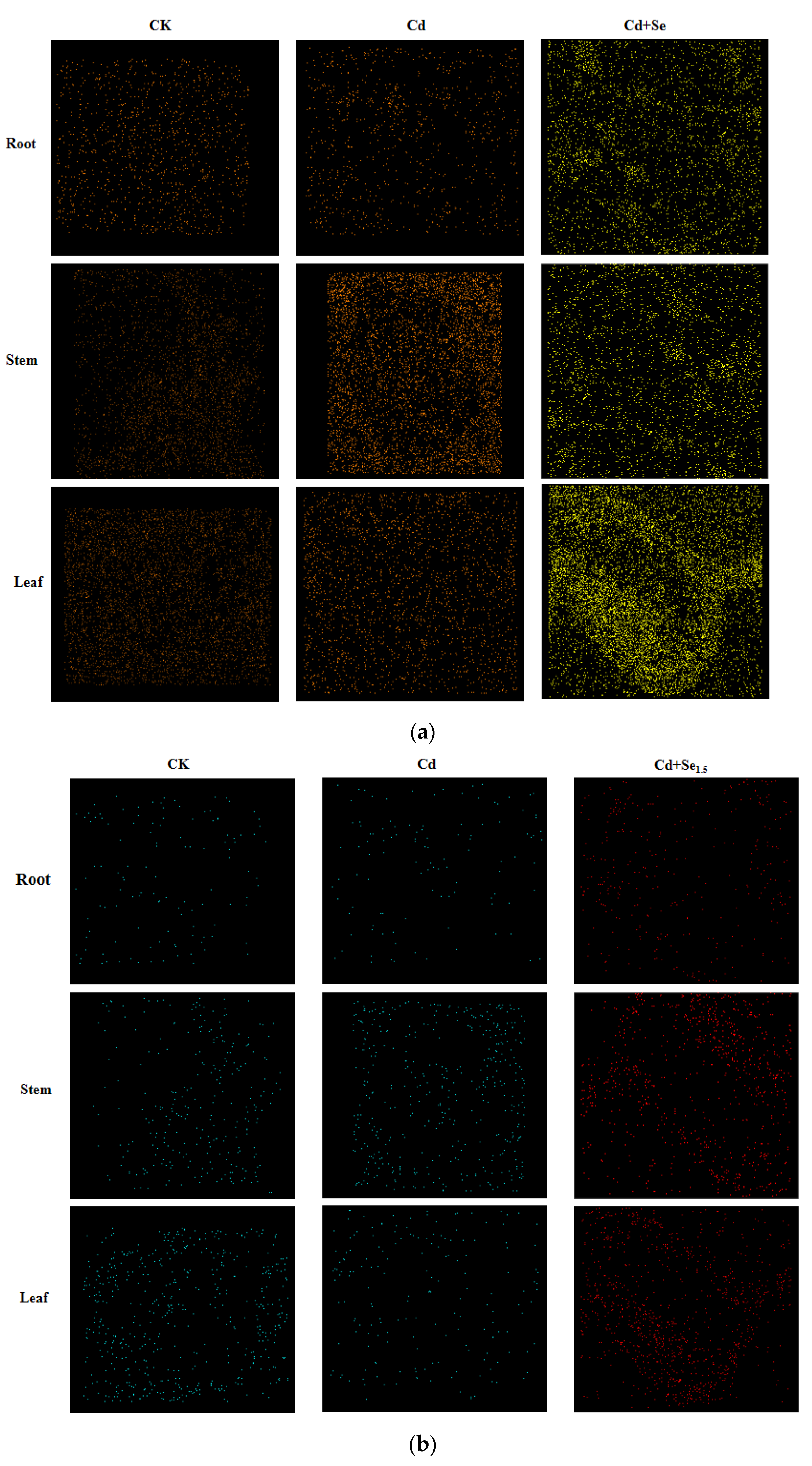 Agronomy 15 00246 g008a