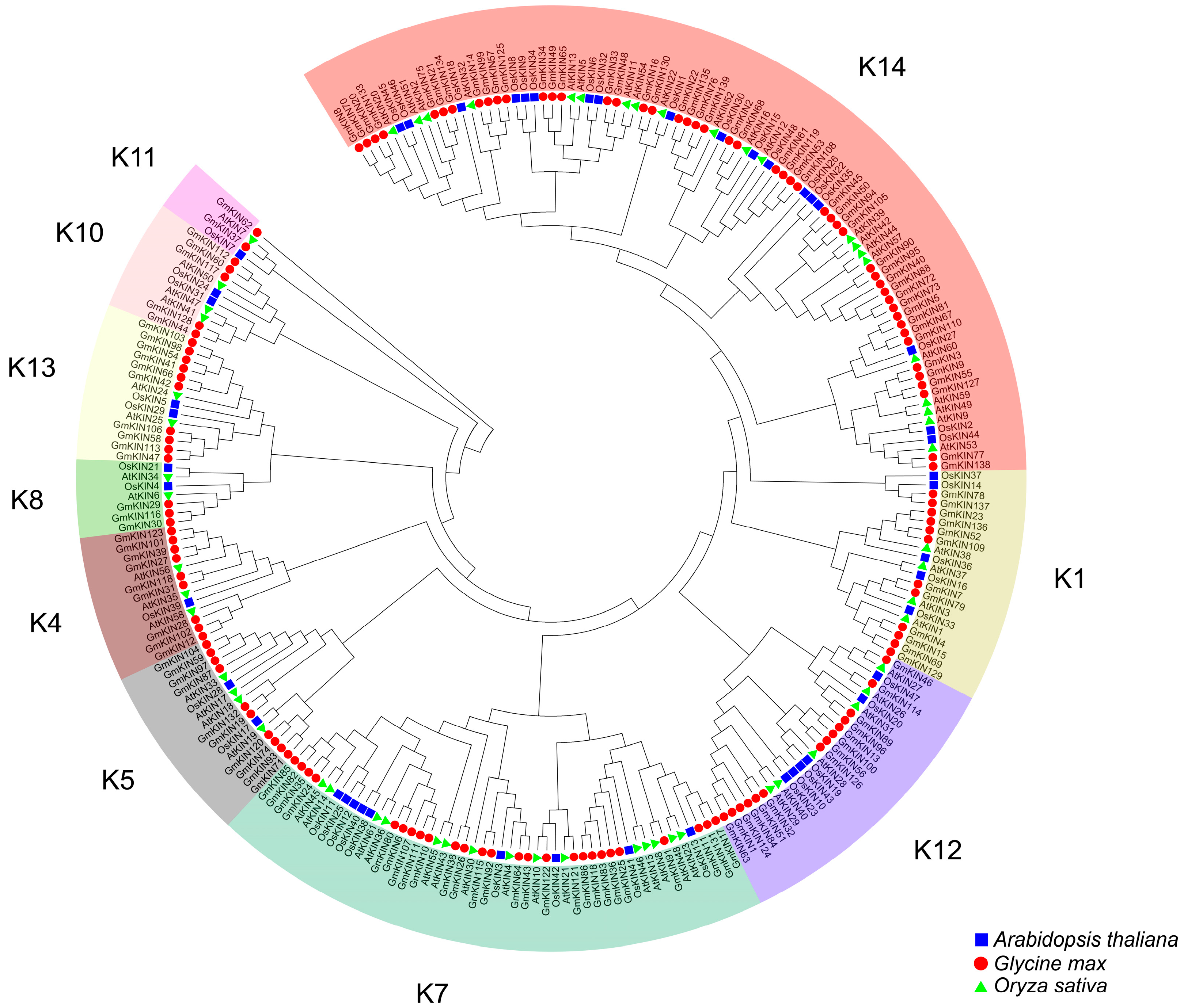 Agronomy 15 00275 g001