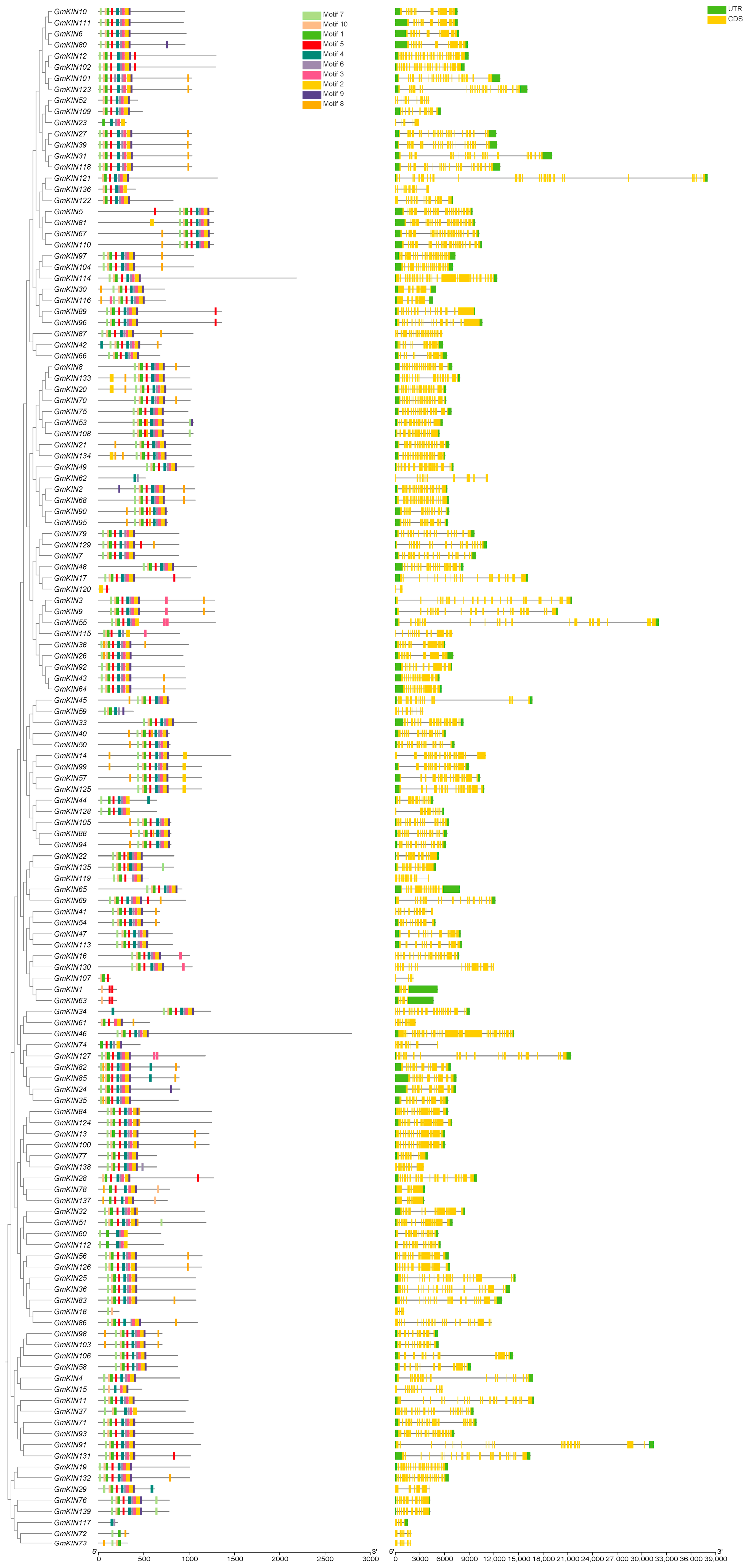 Agronomy 15 00275 g002