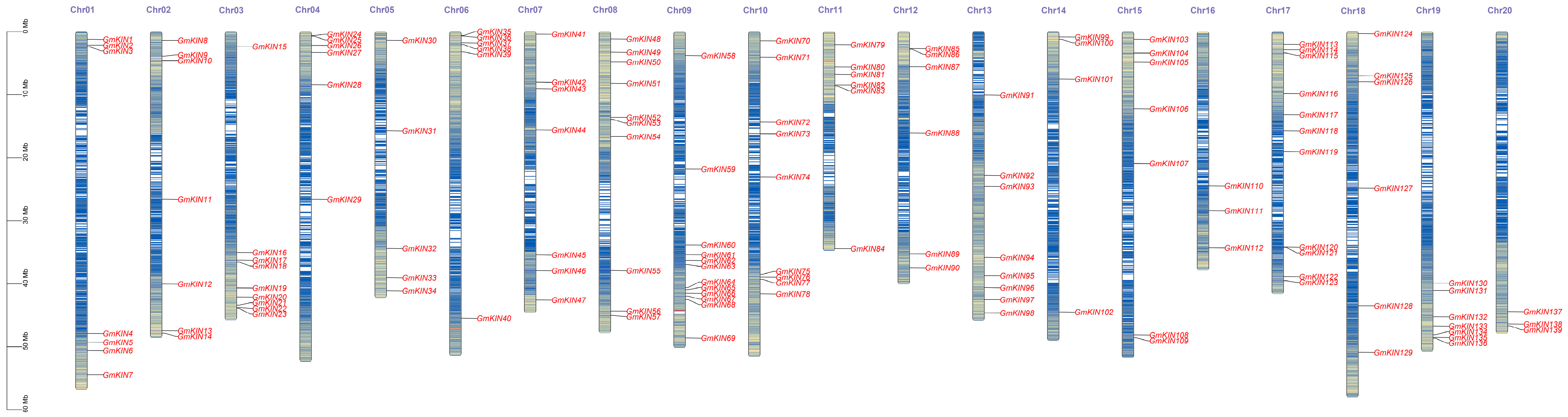 Agronomy 15 00275 g003