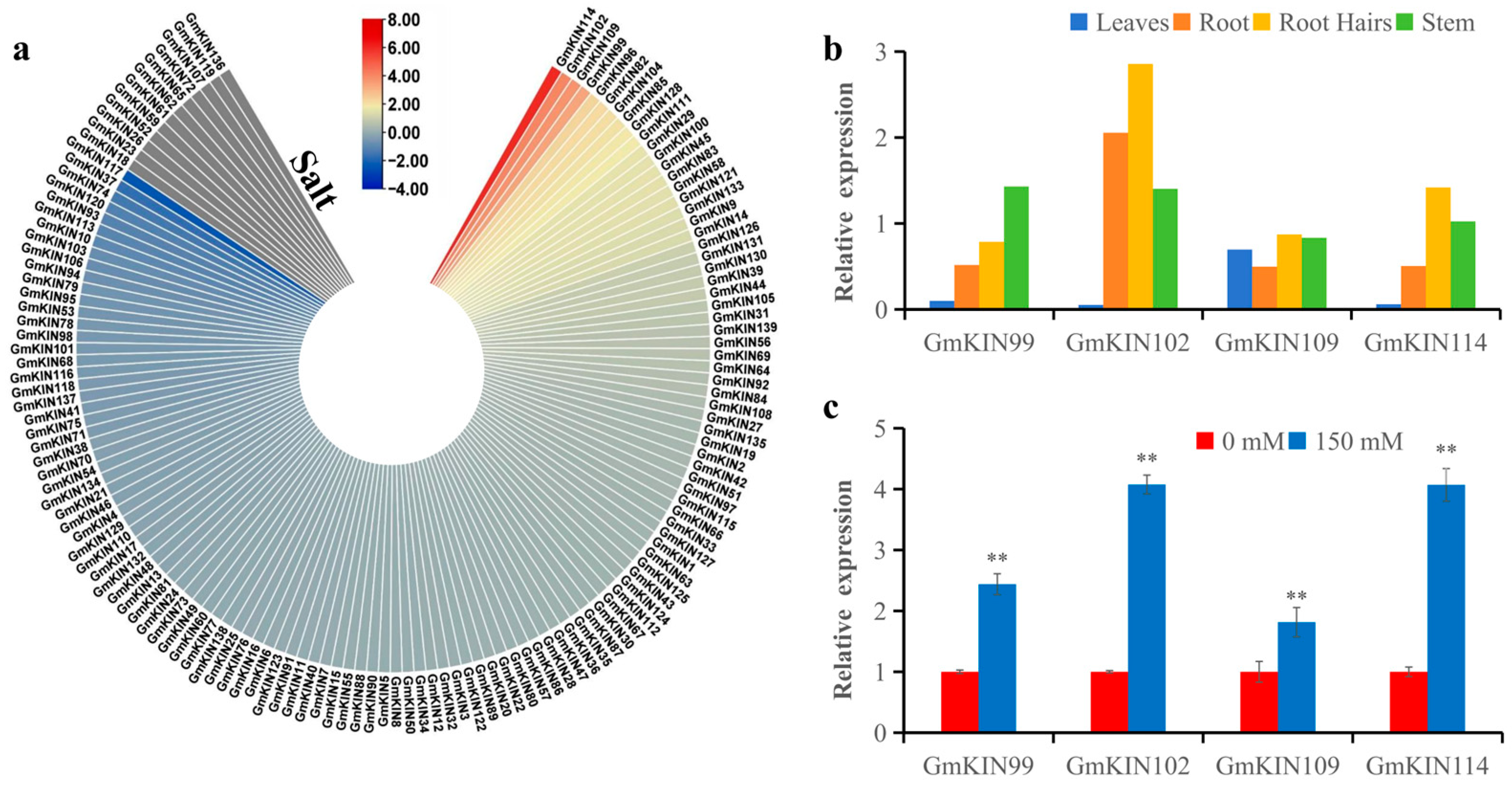 Agronomy 15 00275 g007