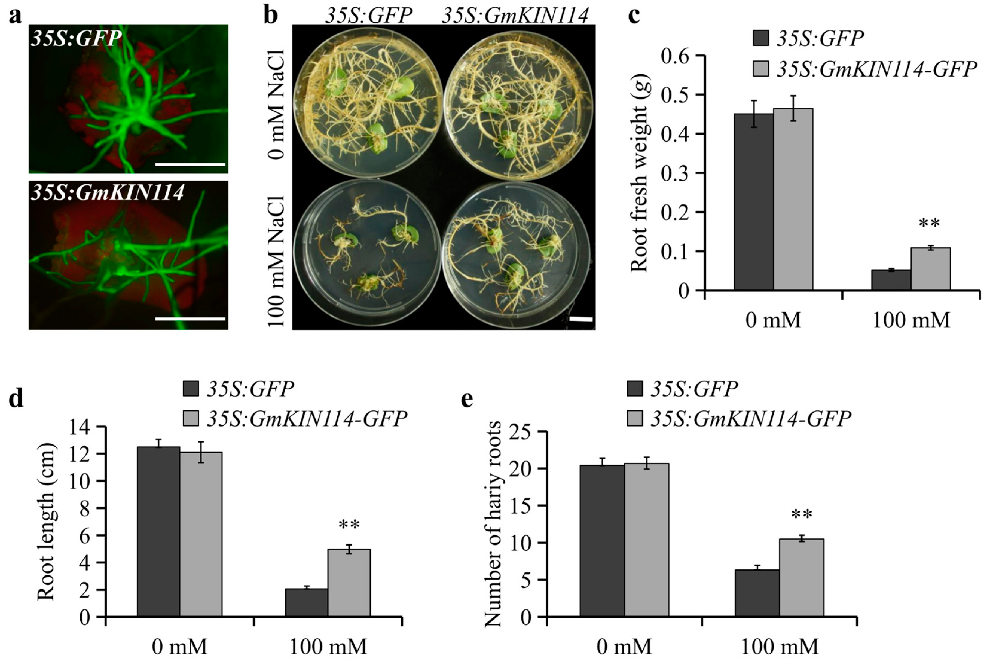 Agronomy 15 00275 g009