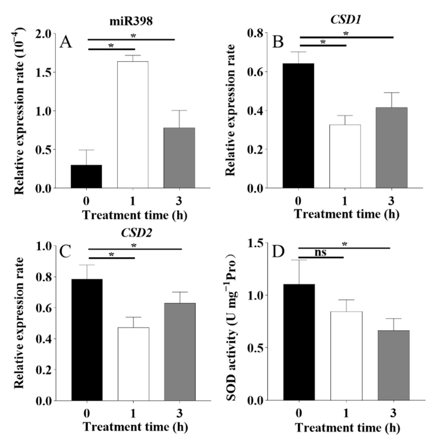 Agronomy 15 00294 g001