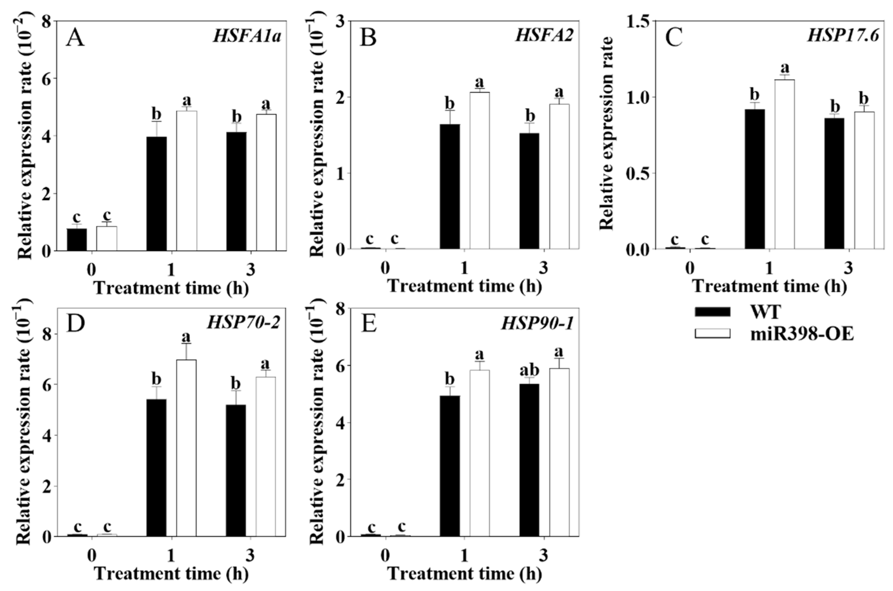 Agronomy 15 00294 g003