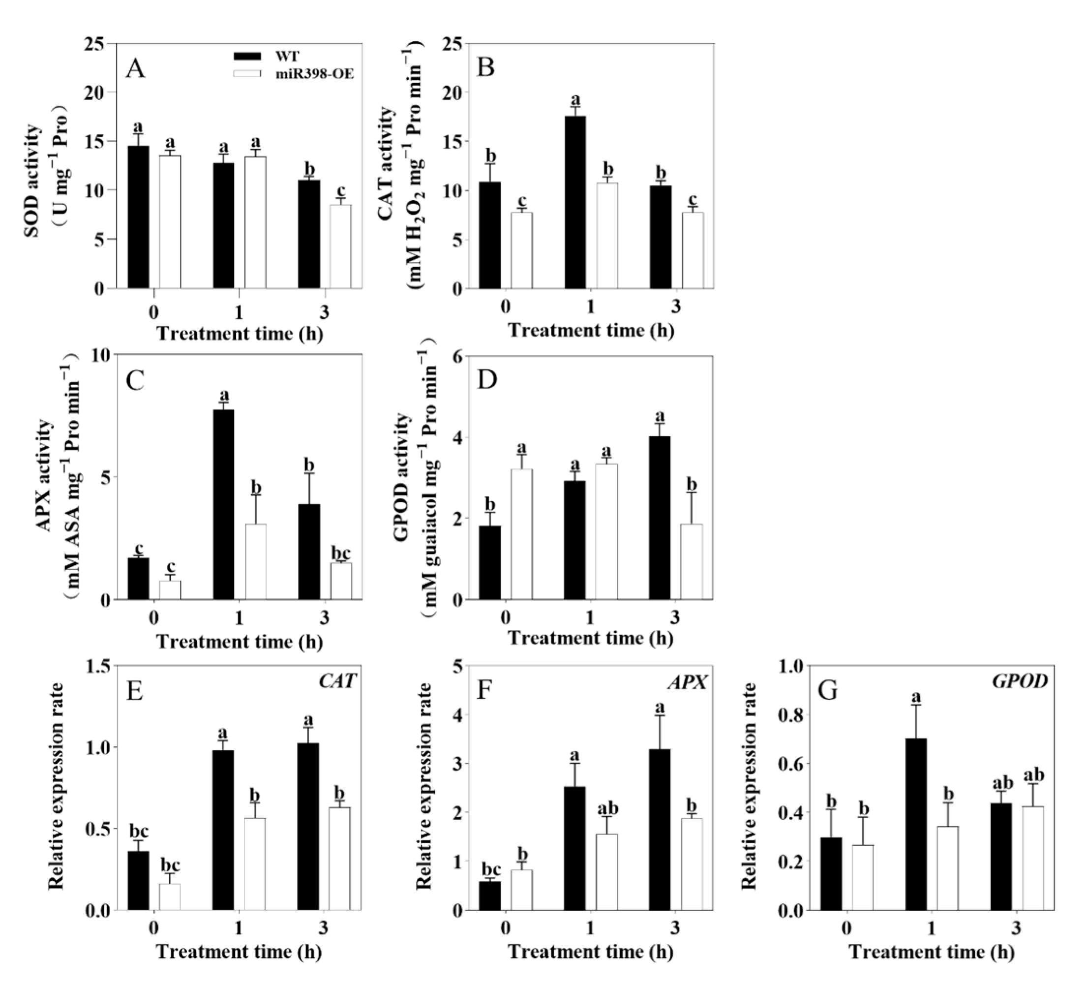 Agronomy 15 00294 g005