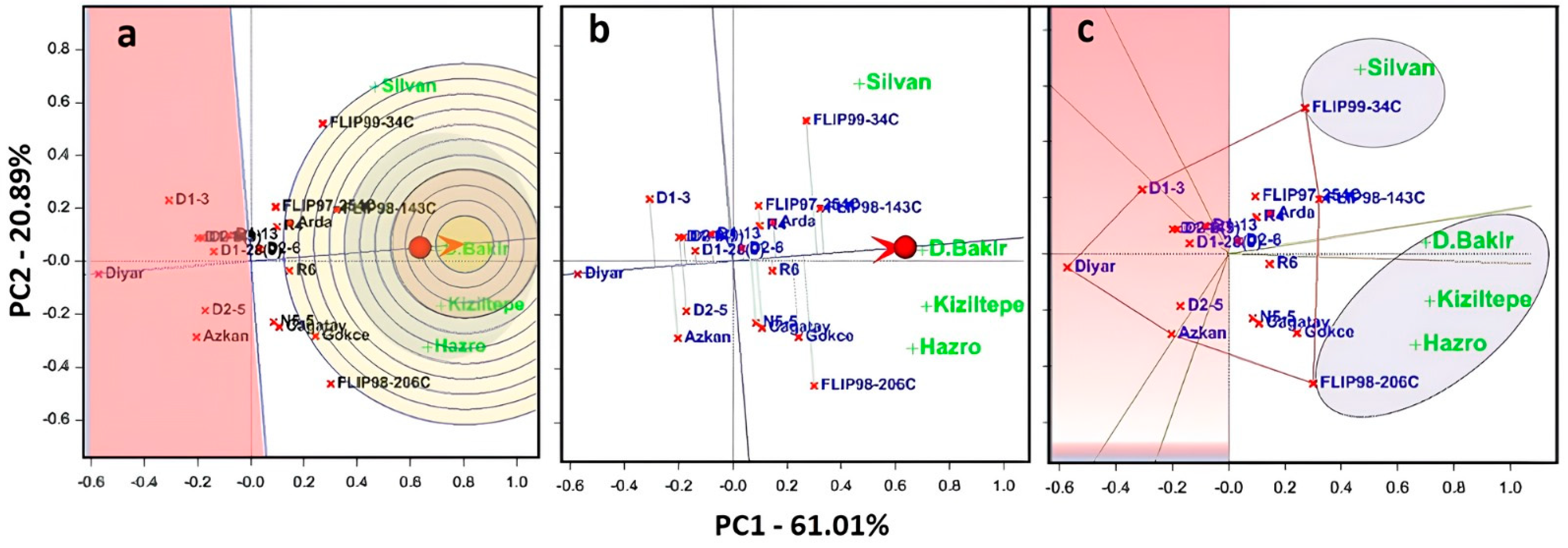 Agronomy 15 00300 g005