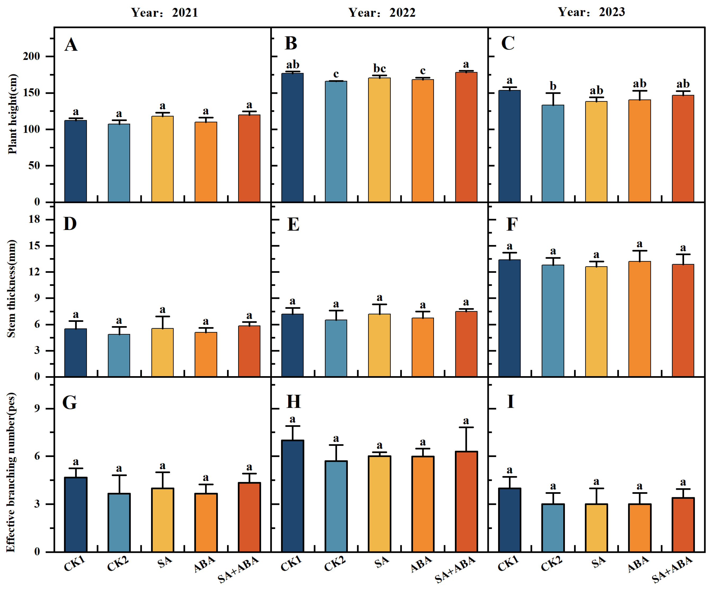 Agronomy 15 00348 g001