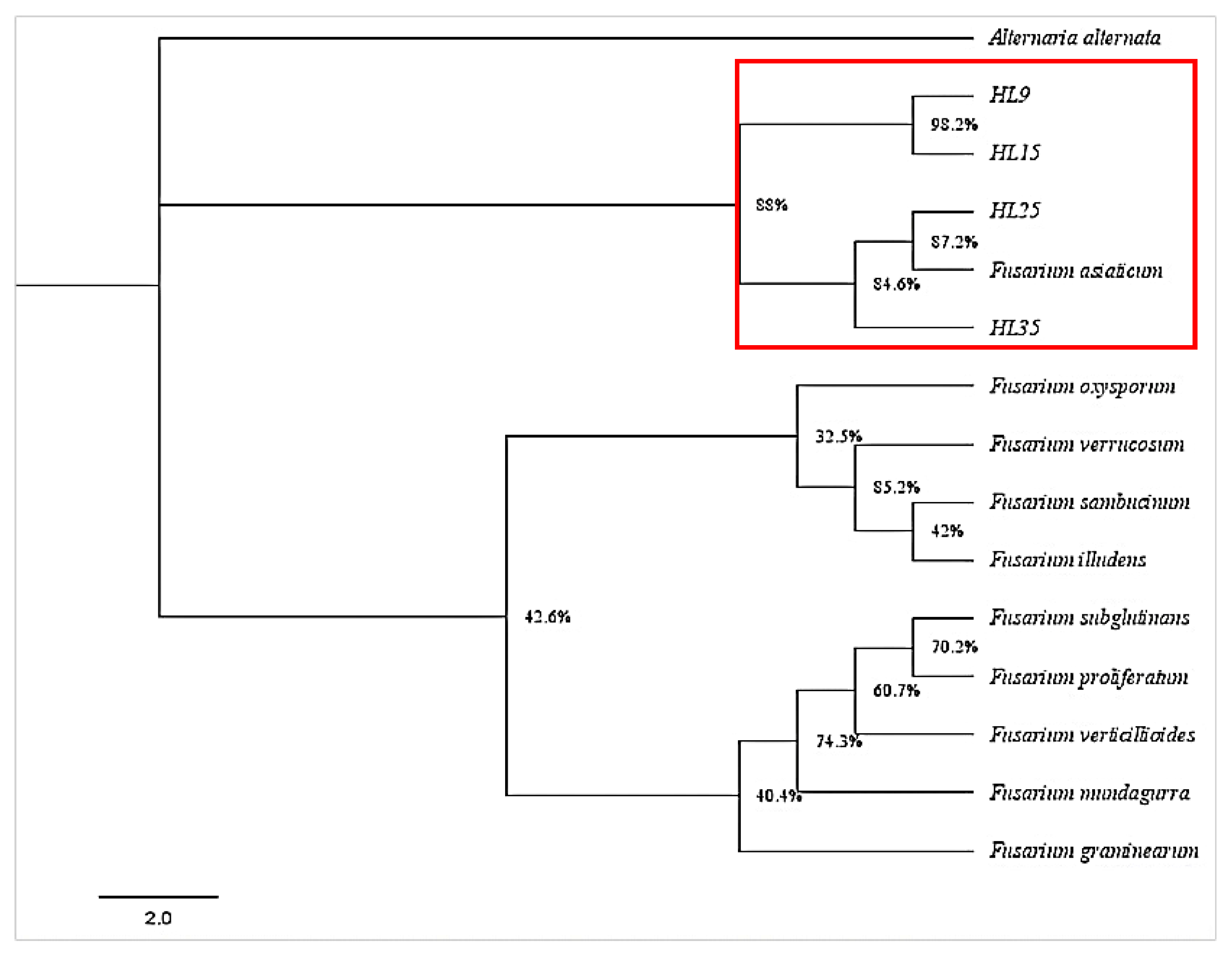 Agronomy 15 00388 g004