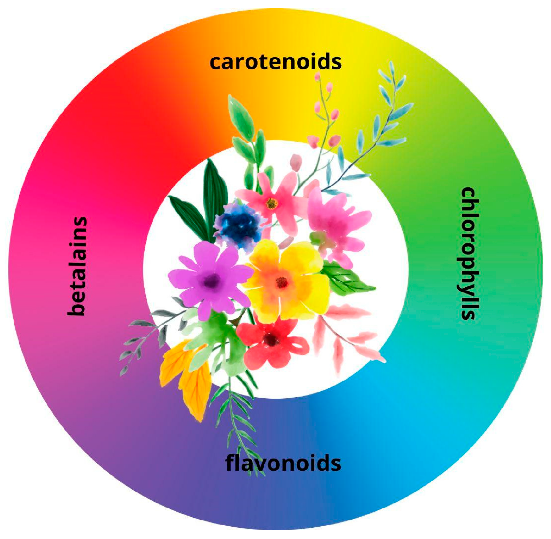 Agronomy 15 00405 g002