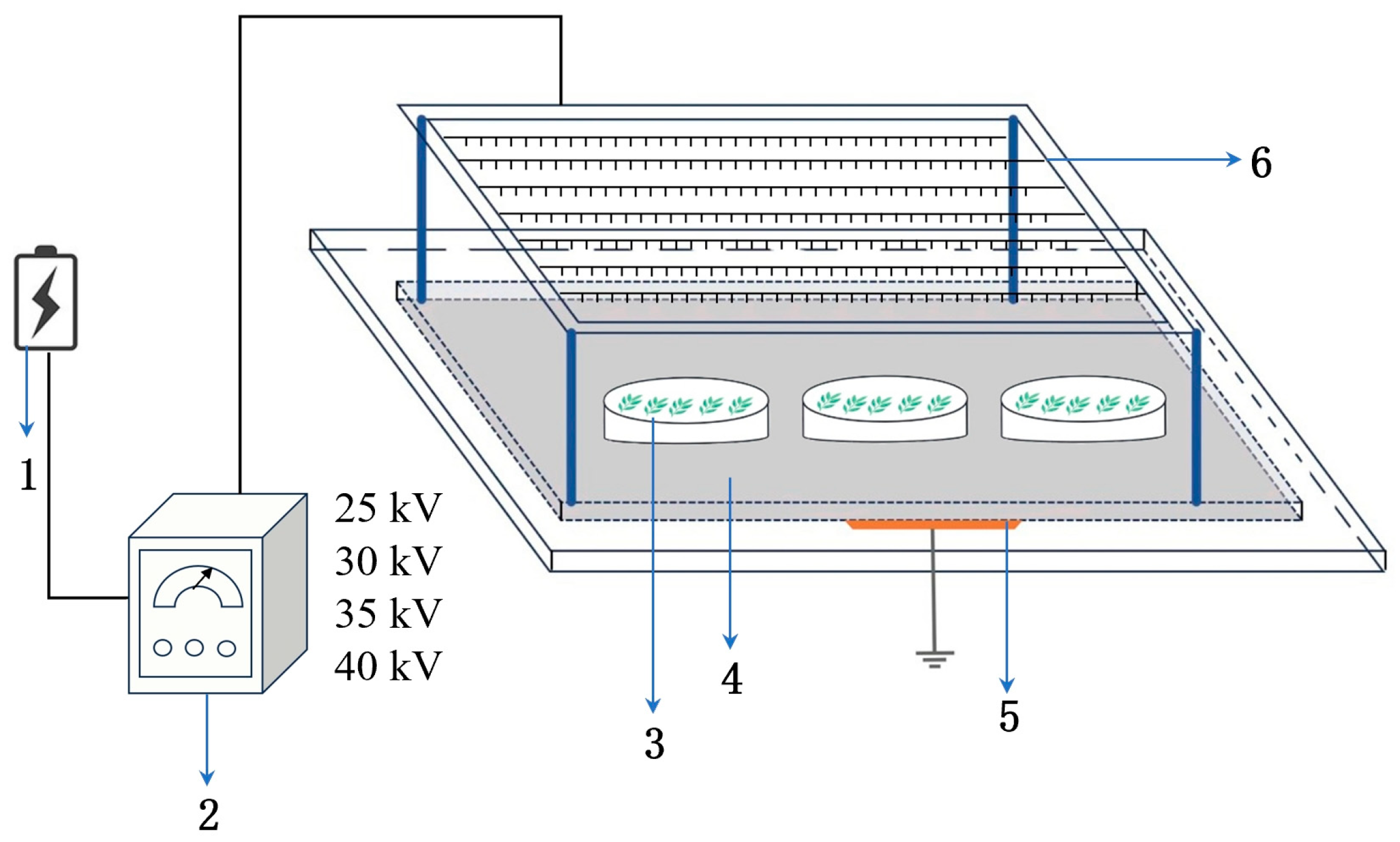 Agronomy 15 00408 g001