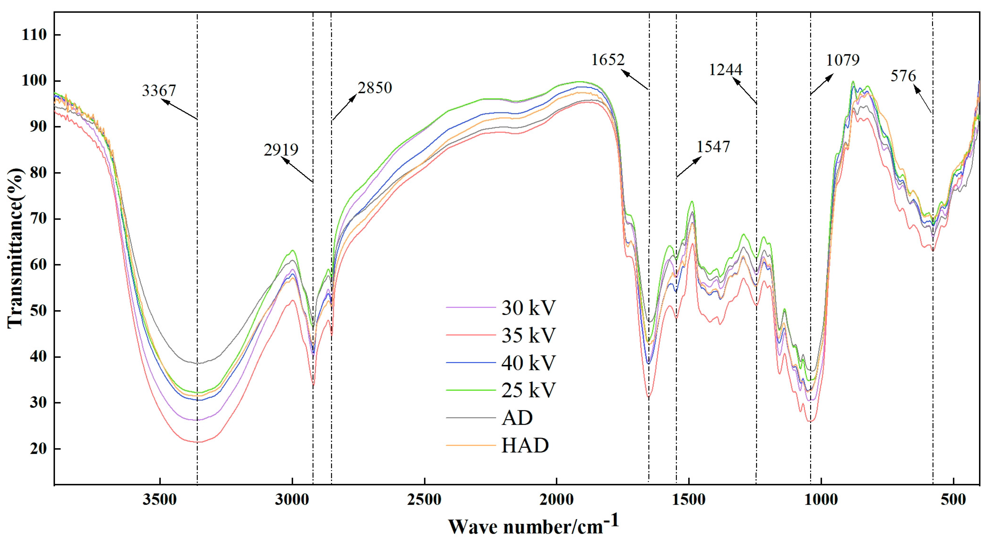Agronomy 15 00408 g013