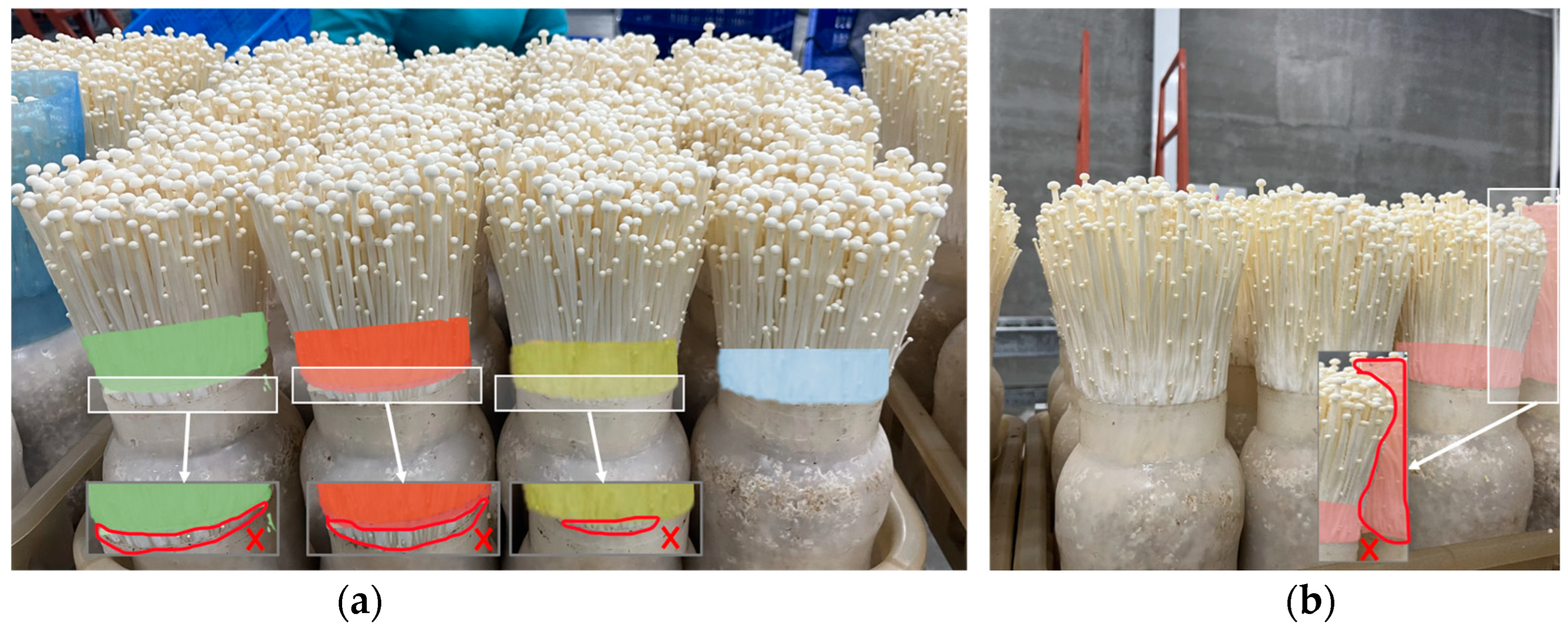 Agronomy 15 00432 g003