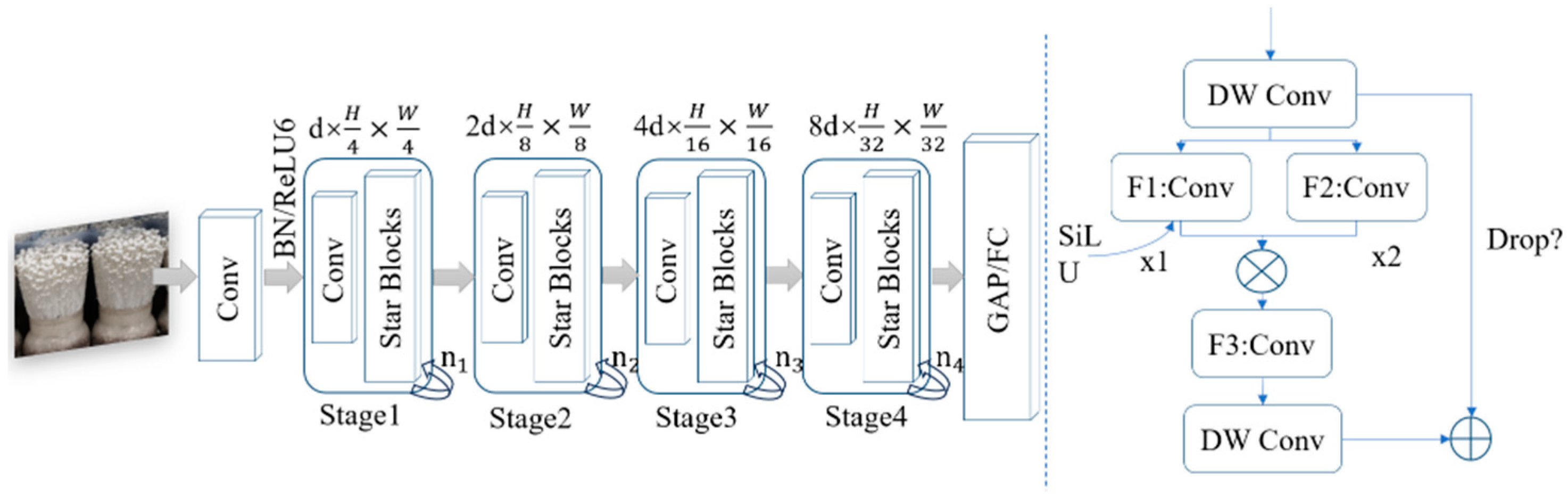 Agronomy 15 00432 g005
