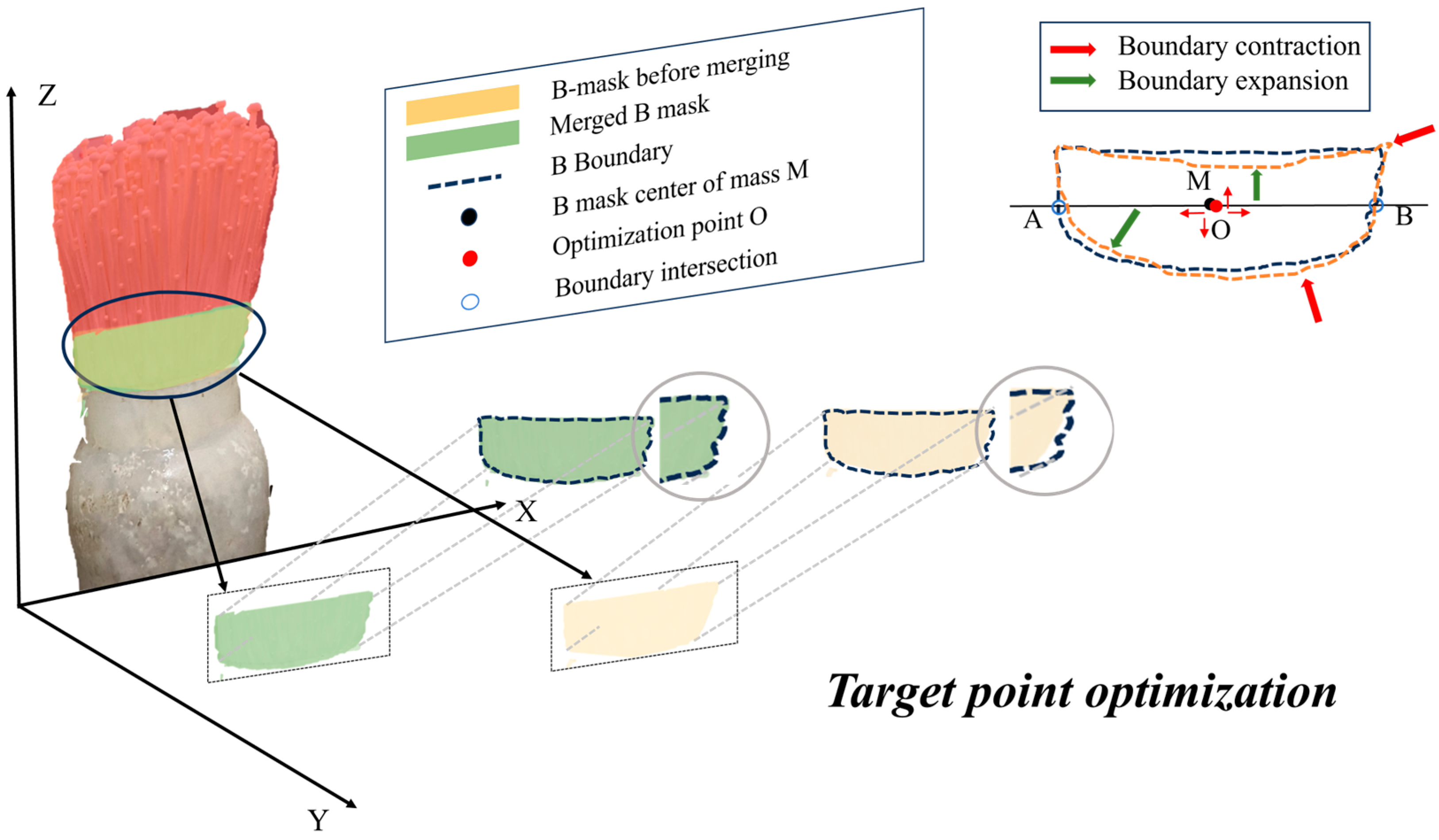 Agronomy 15 00432 g011
