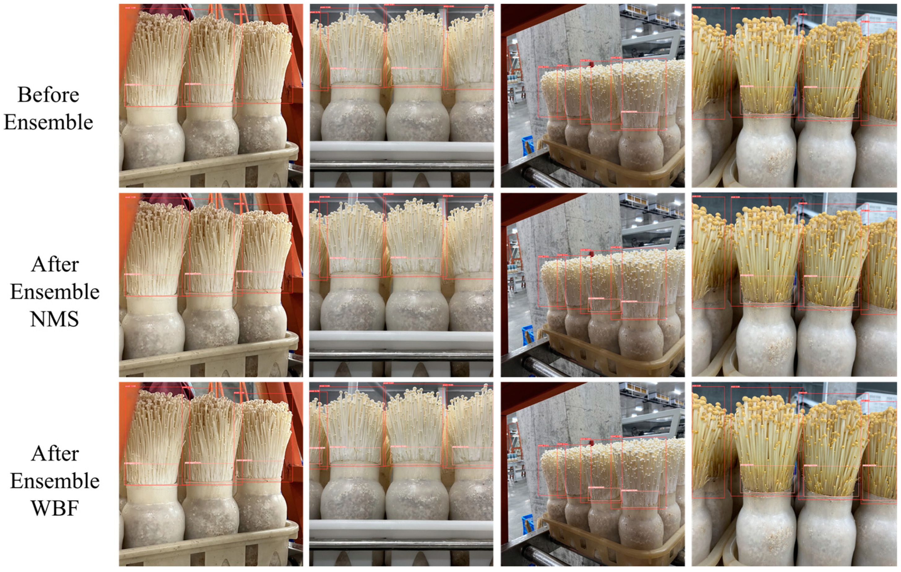 Agronomy 15 00432 g015