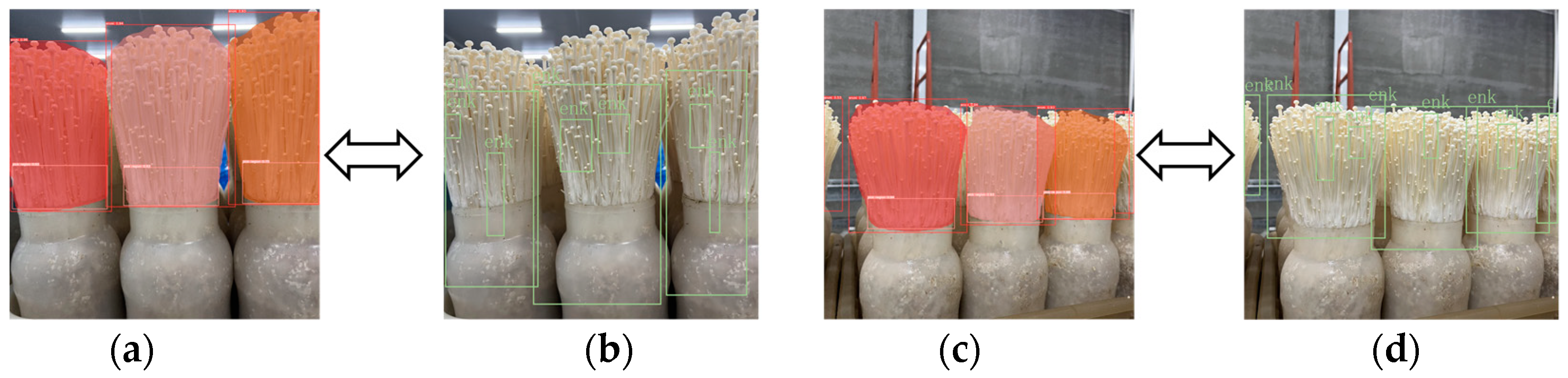 Agronomy 15 00432 g016