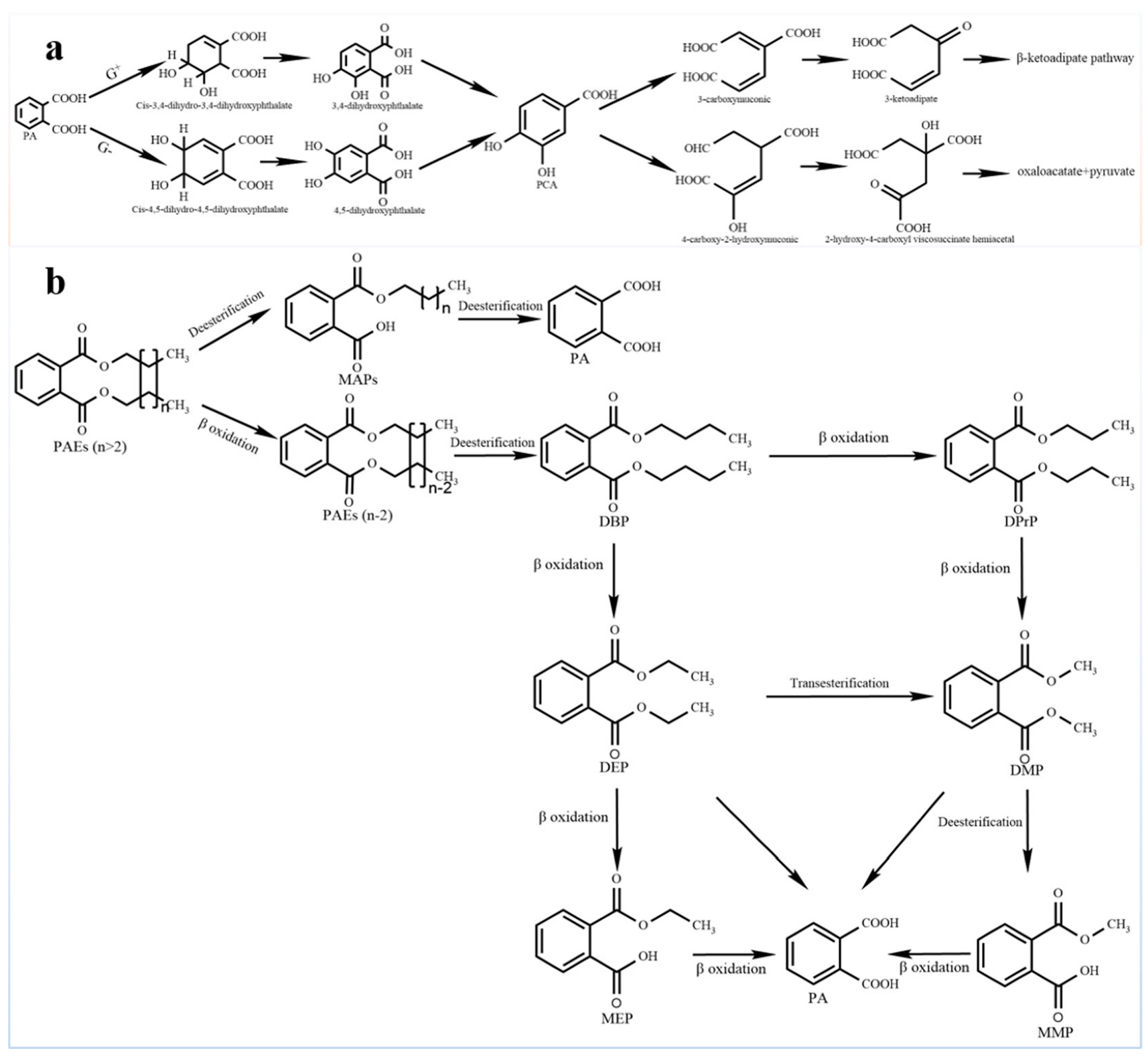 Agronomy 15 00433 g004