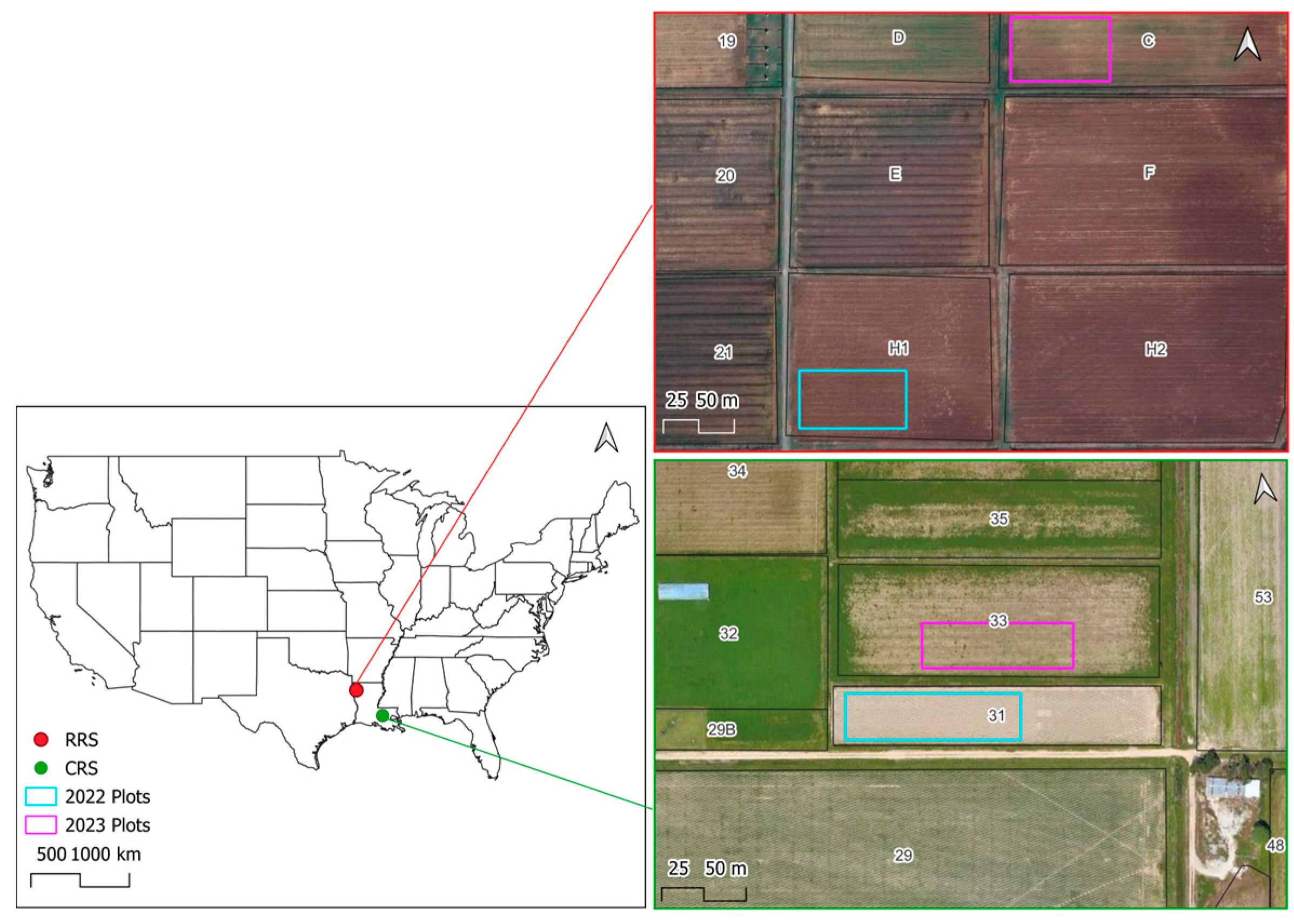 Agronomy 15 00434 g001