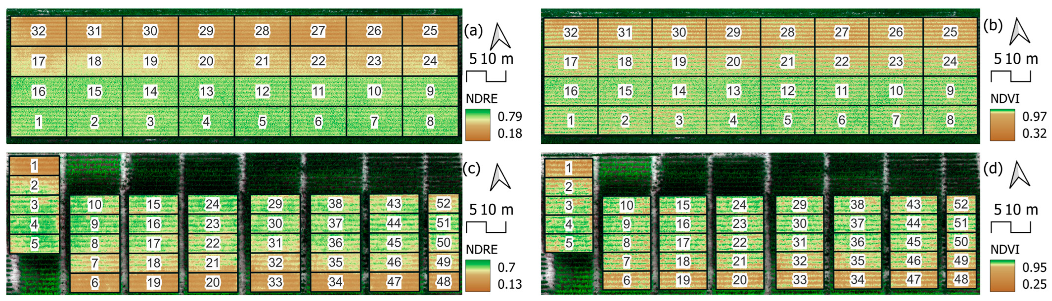 Agronomy 15 00434 g005