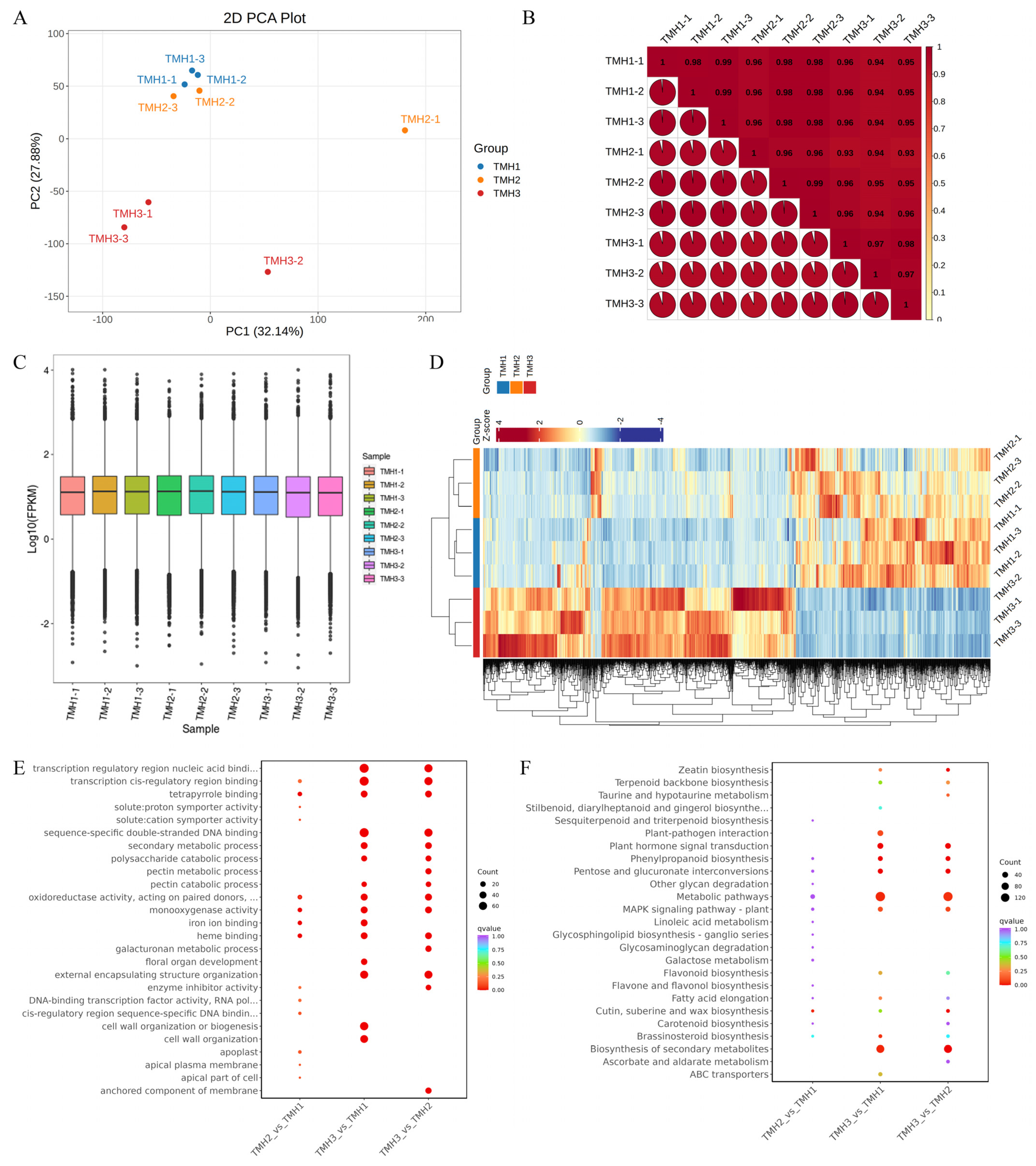 Agronomy 15 00441 g002