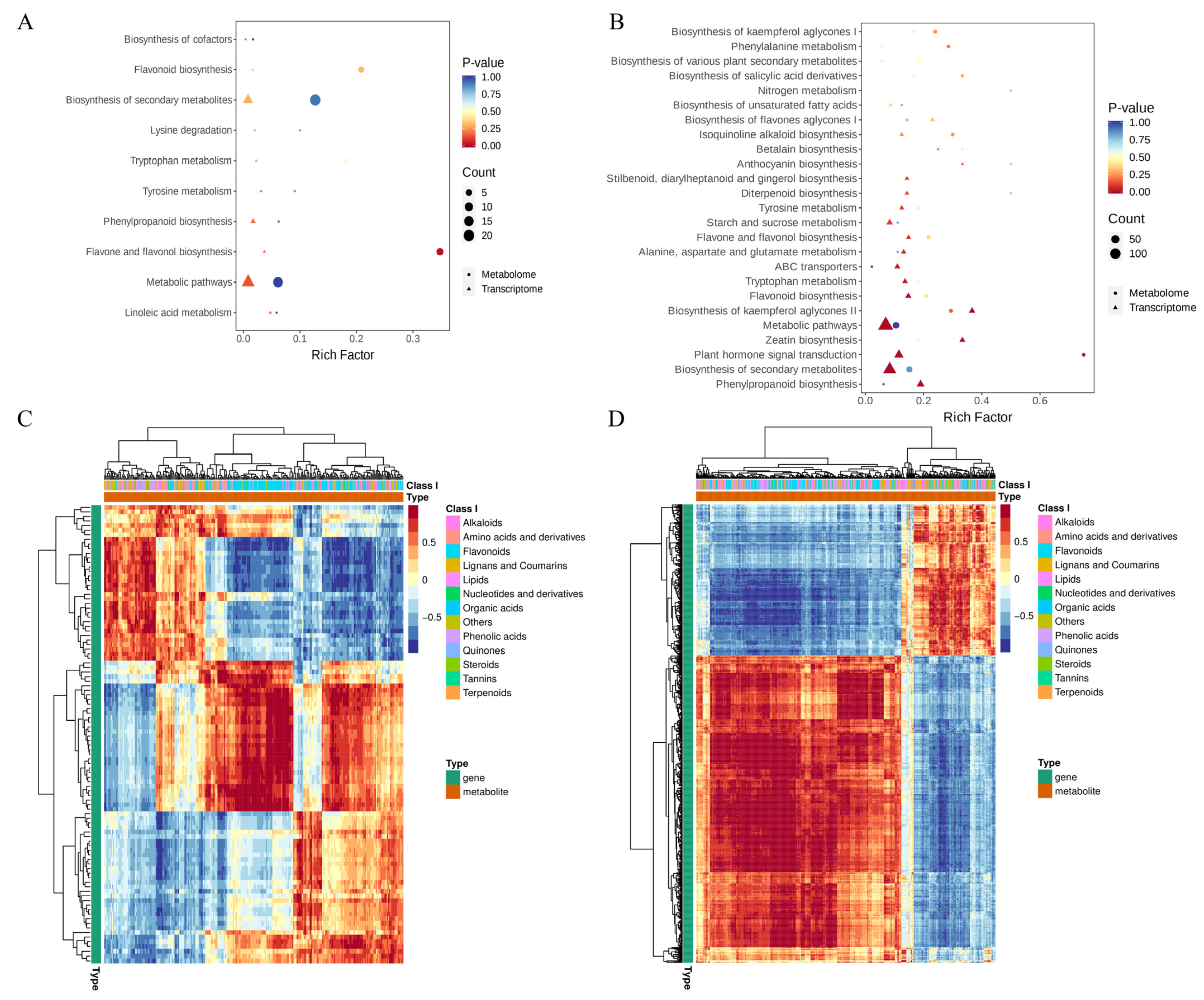 Agronomy 15 00441 g004
