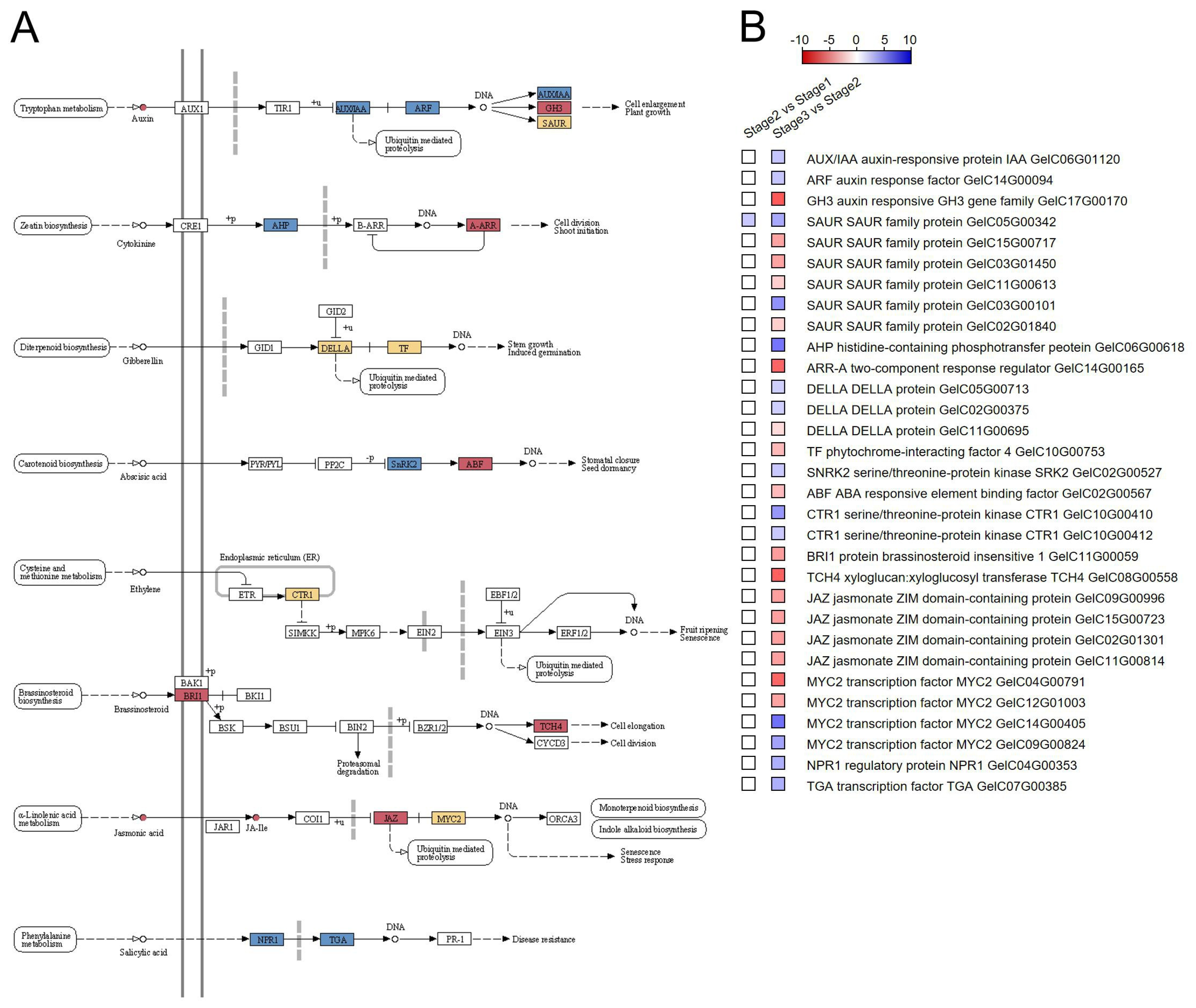 Agronomy 15 00441 g006