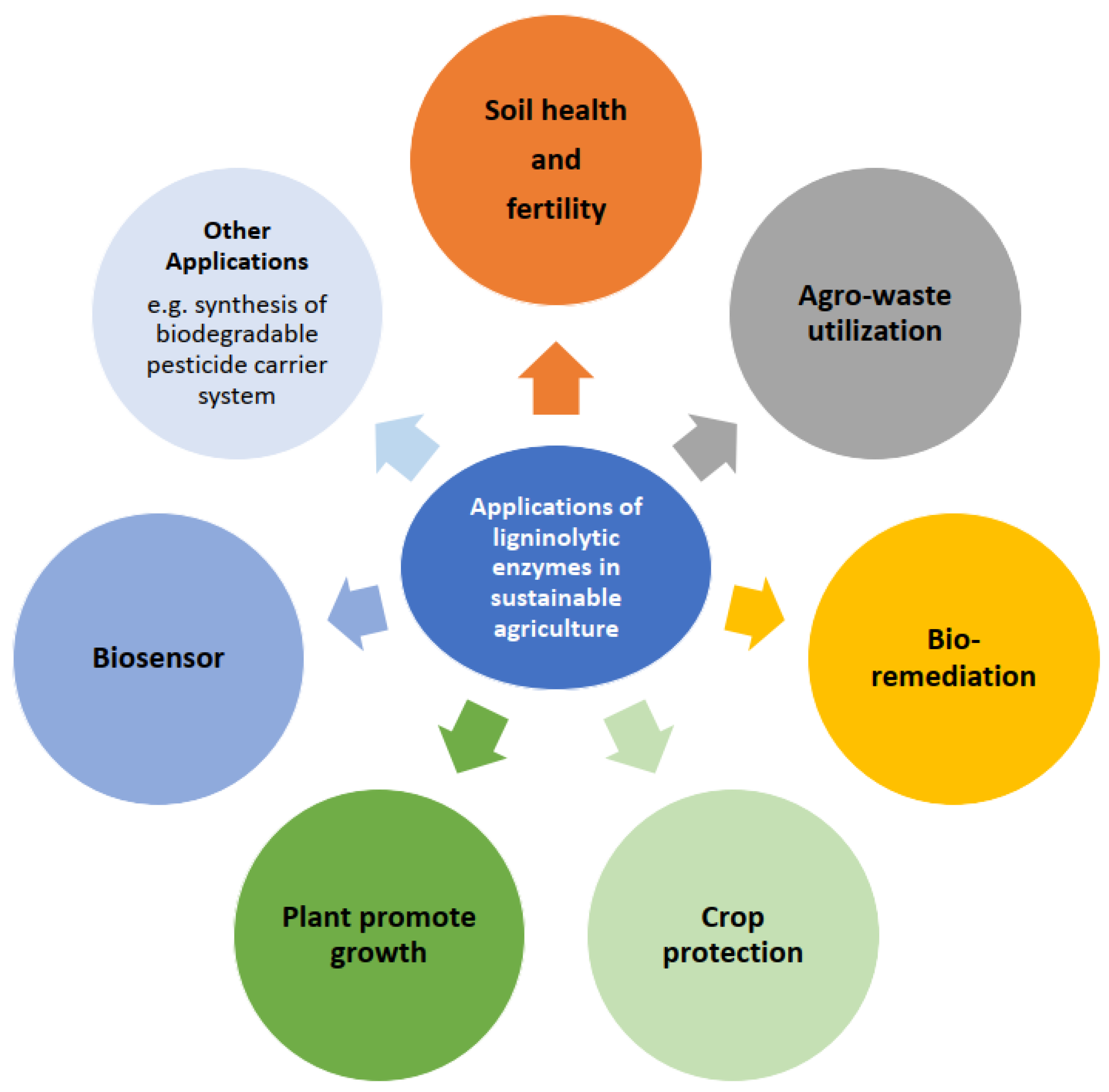 Agronomy 15 00451 g002