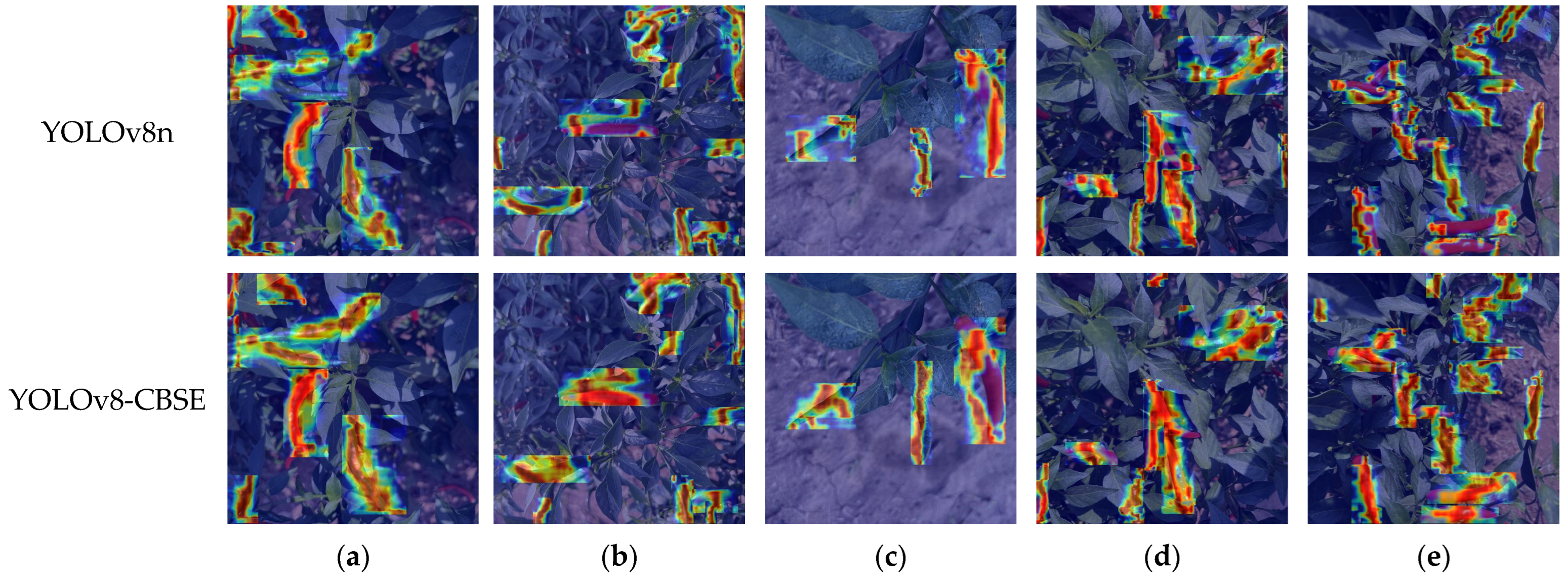 Agronomy 15 00537 g008