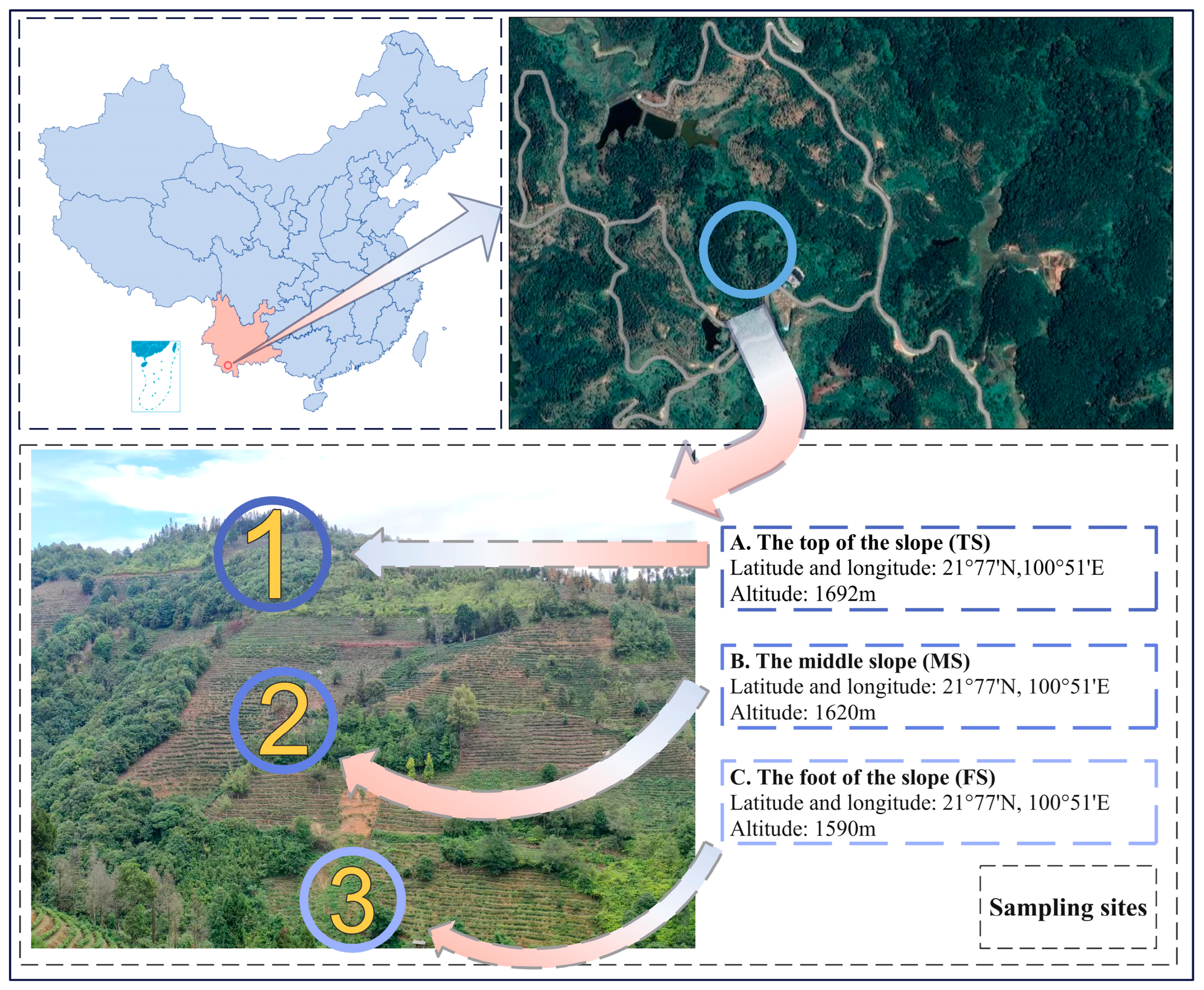 Agronomy 15 00538 g001