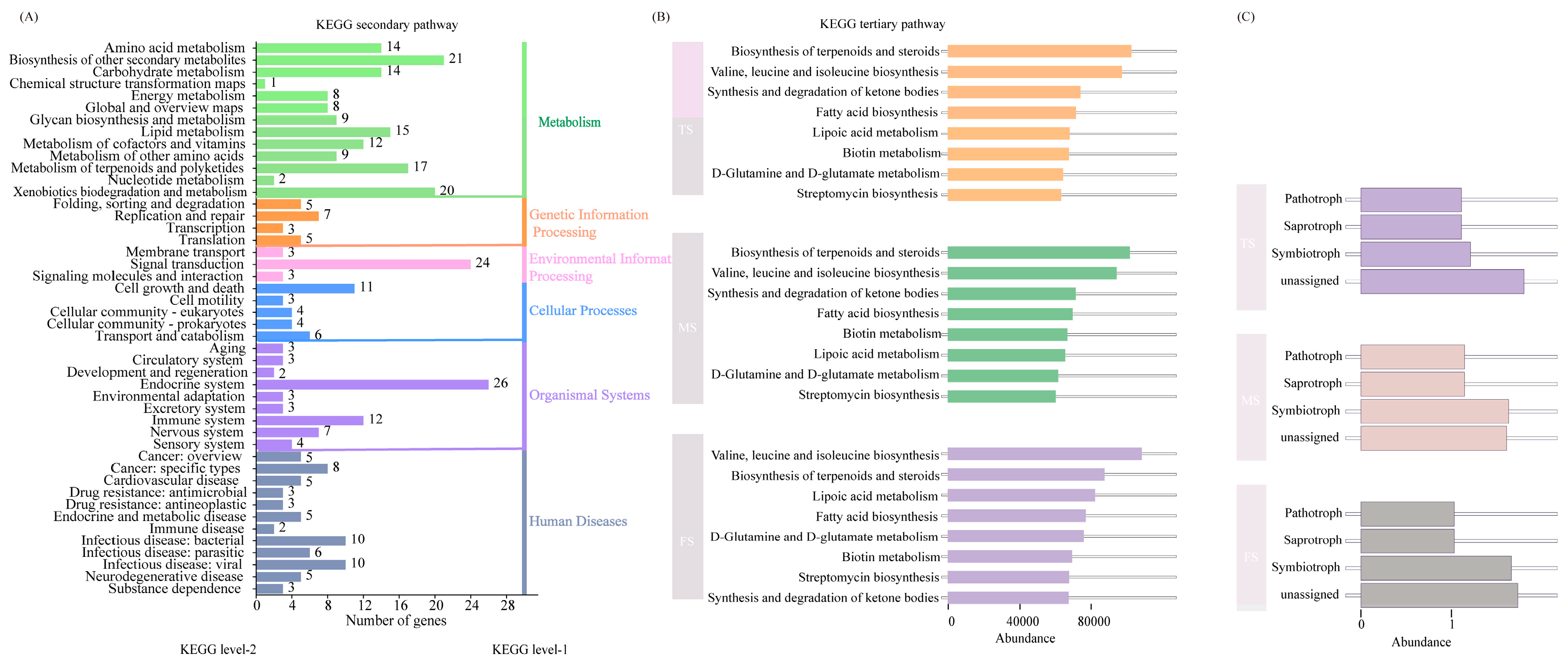 Agronomy 15 00538 g007