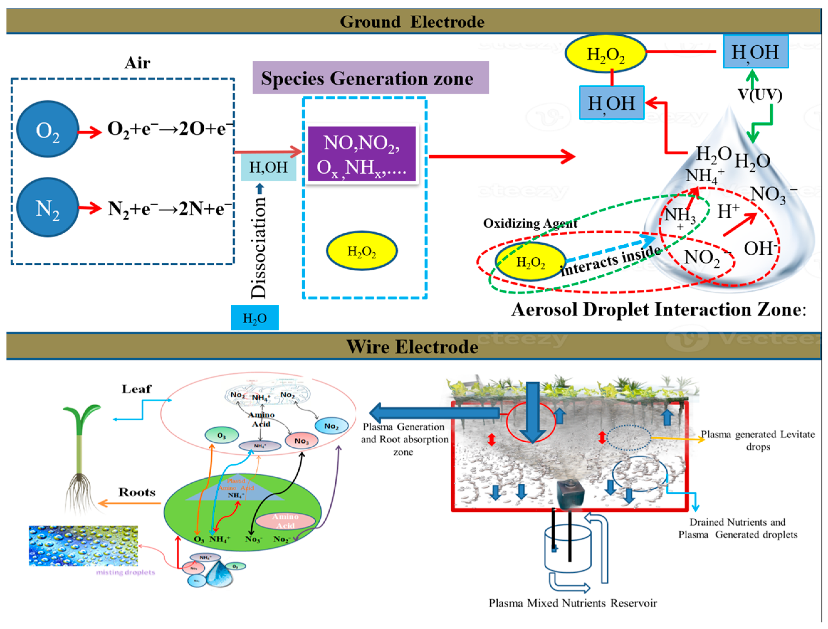 Agronomy 15 00546 g005