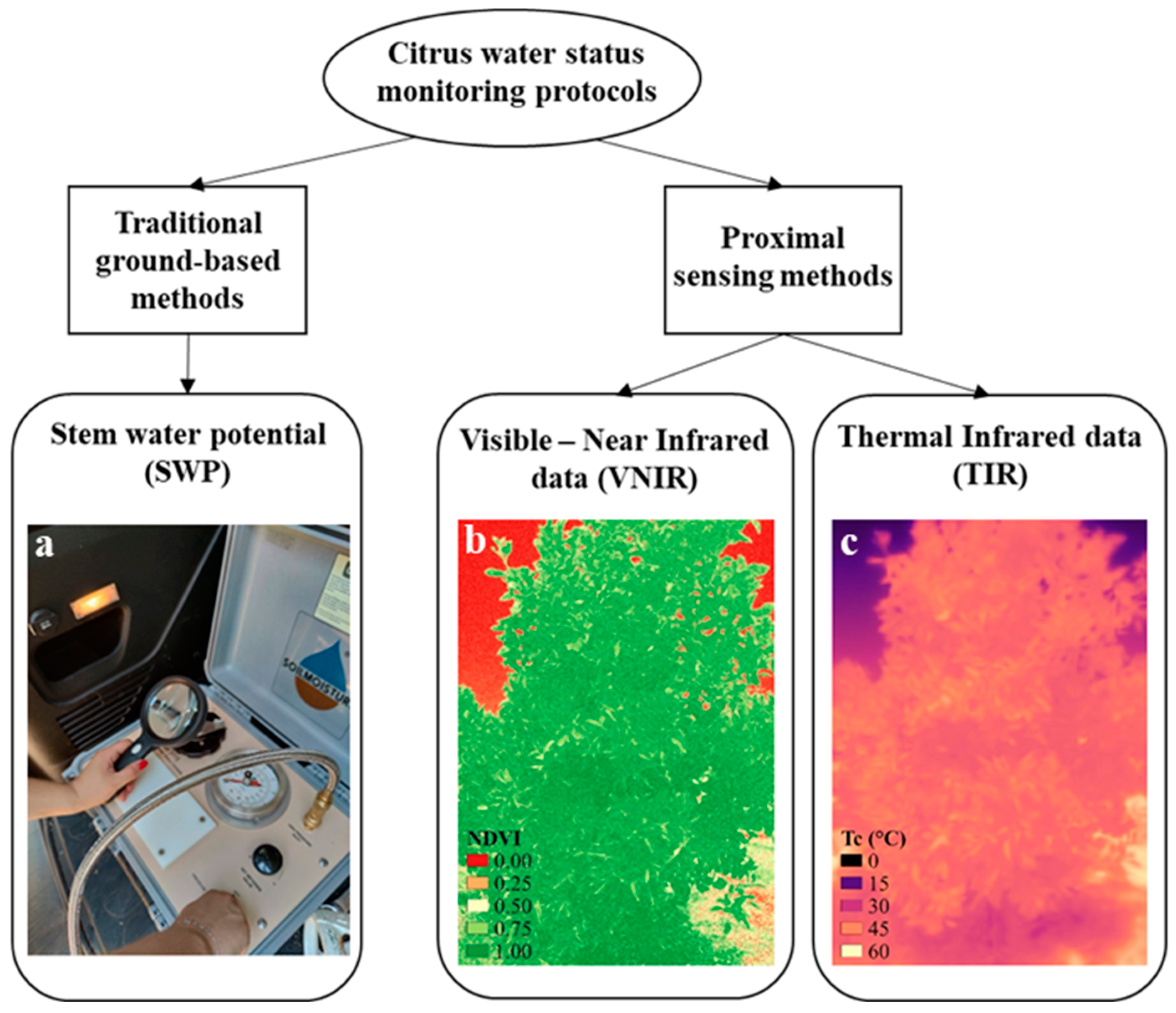 Agronomy 15 00550 g002