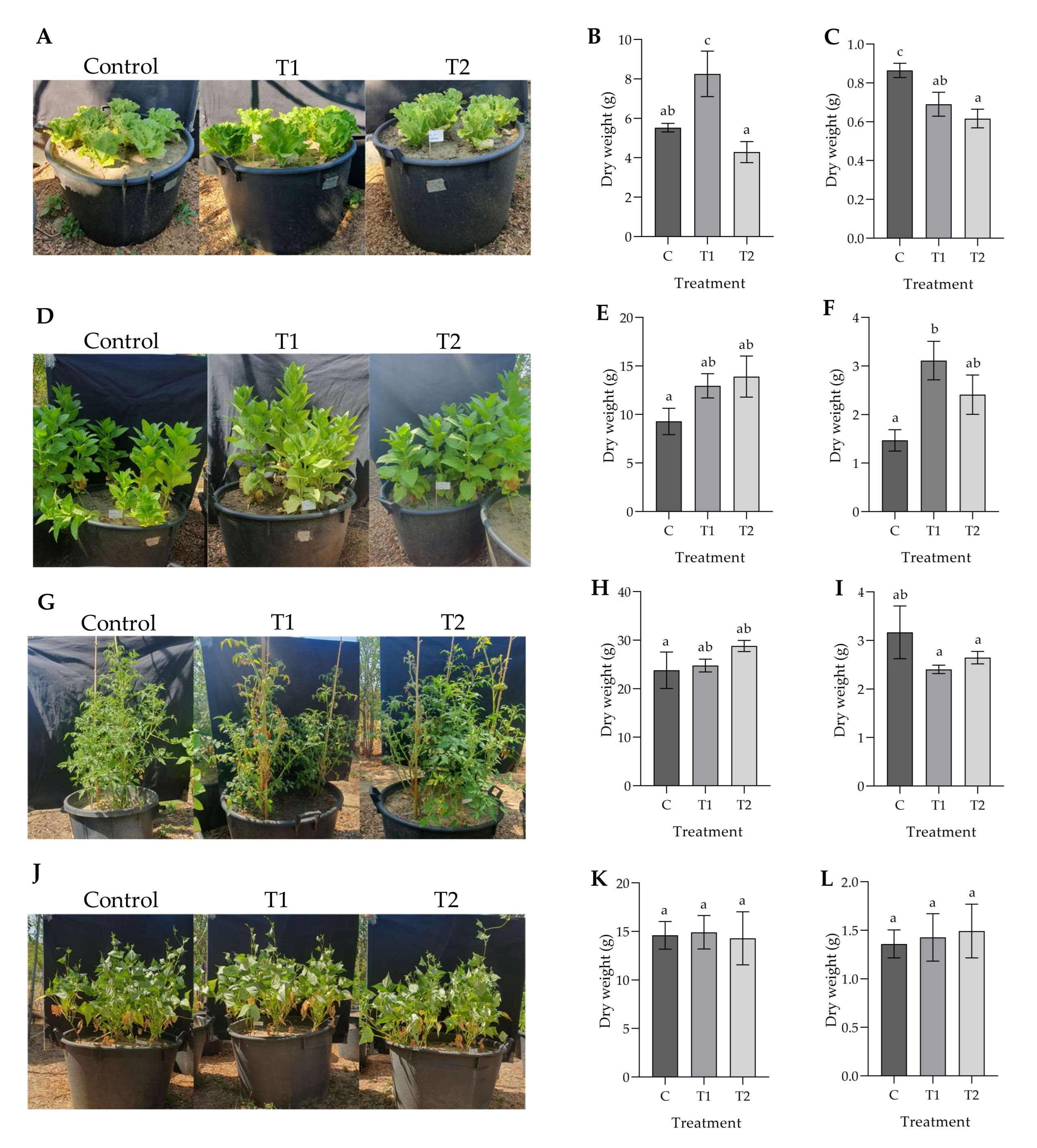 Agronomy 15 00567 g001