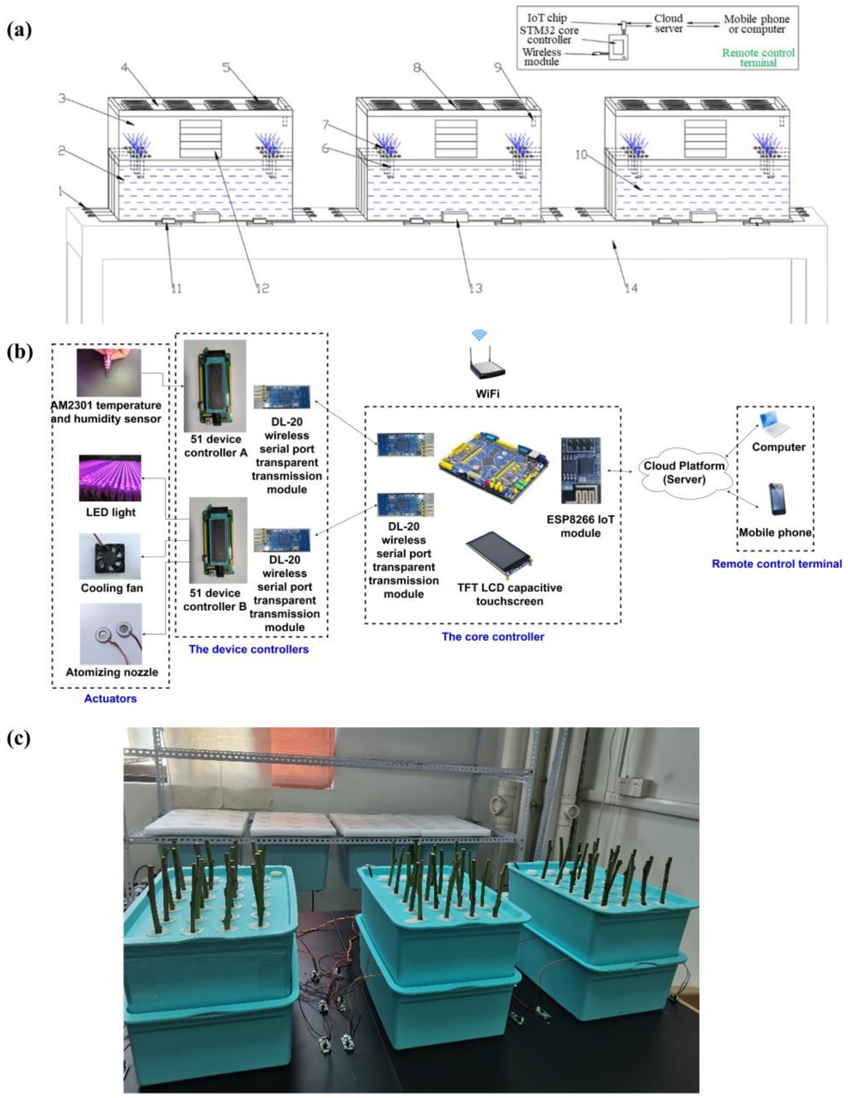 Agronomy 15 00583 g002