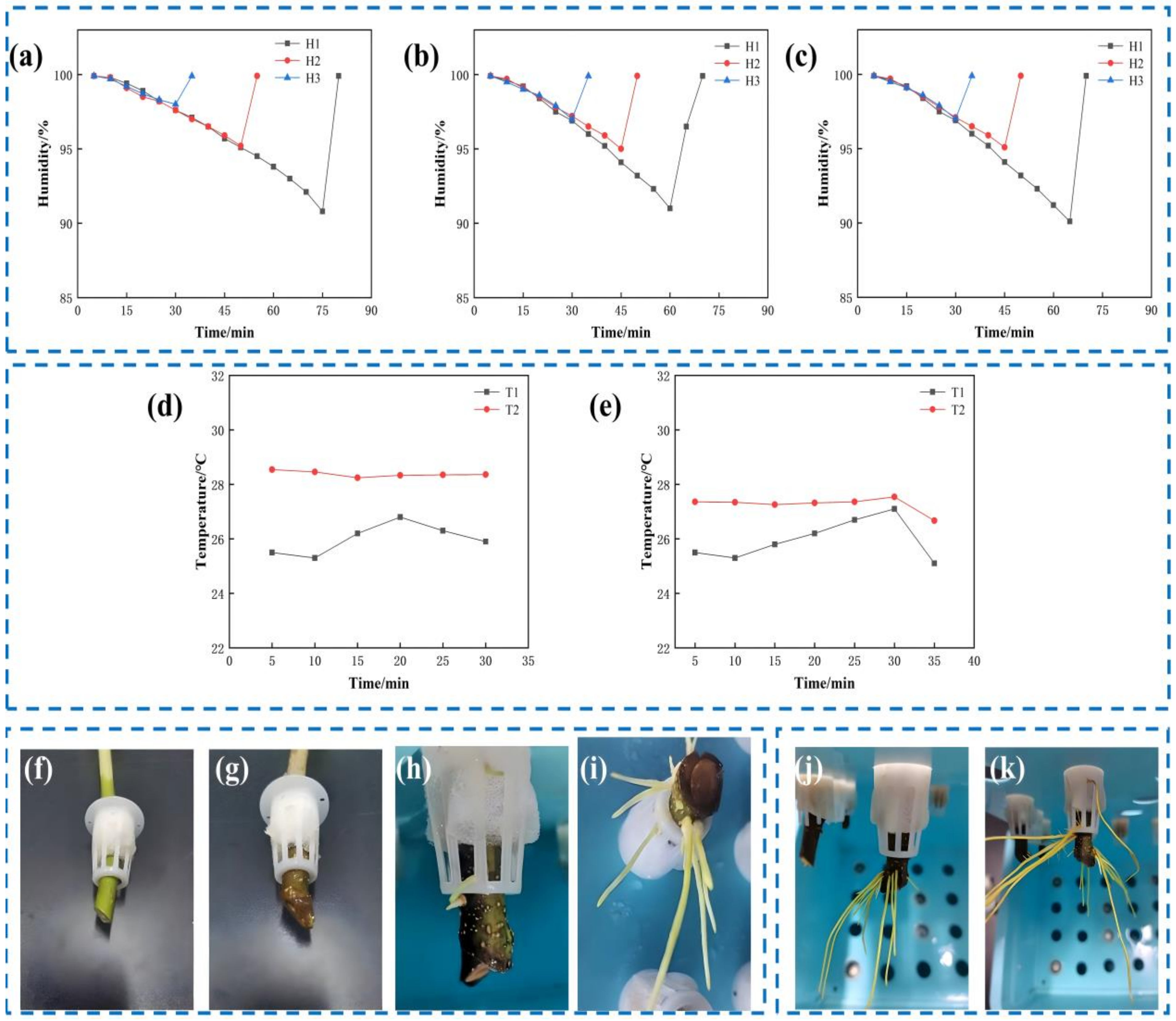 Agronomy 15 00583 g003