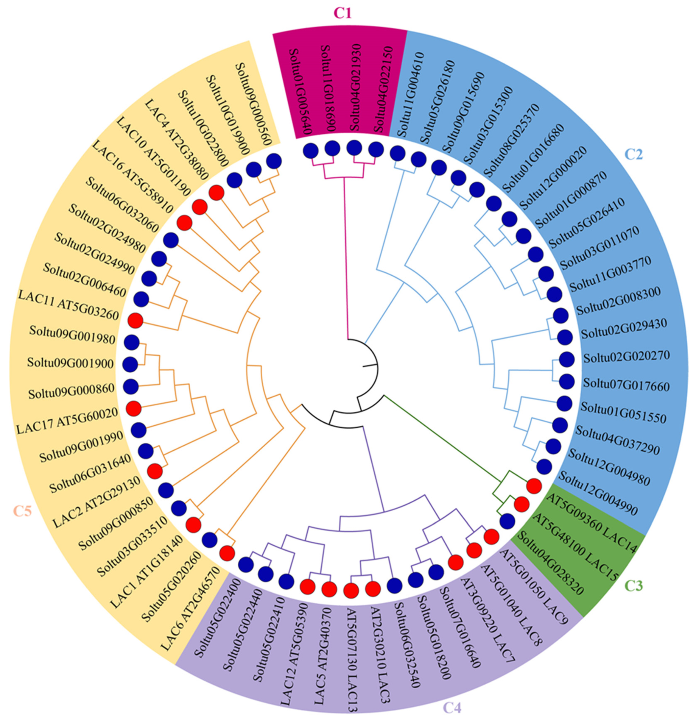 Agronomy 15 00585 g002