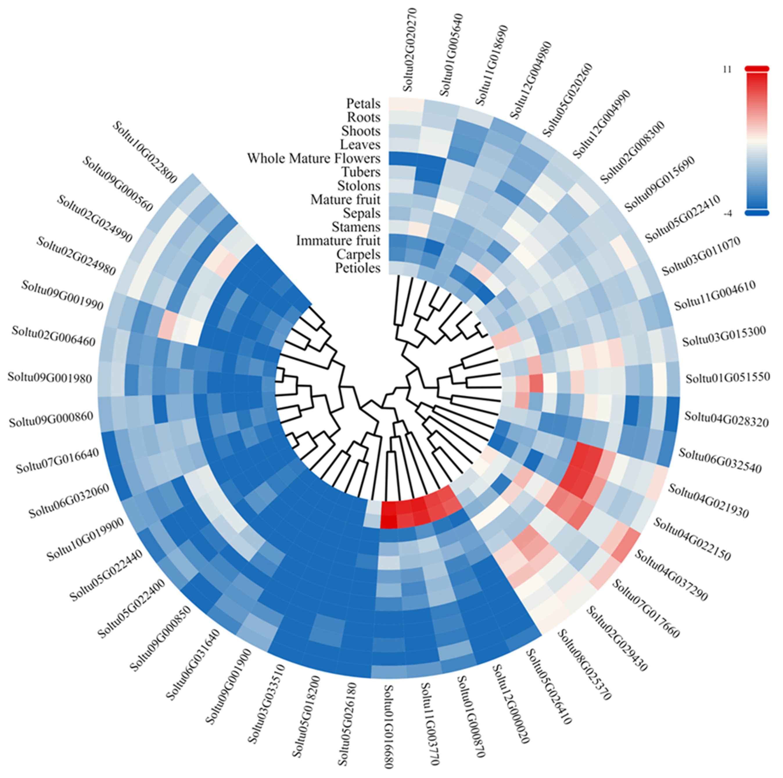 Agronomy 15 00585 g006