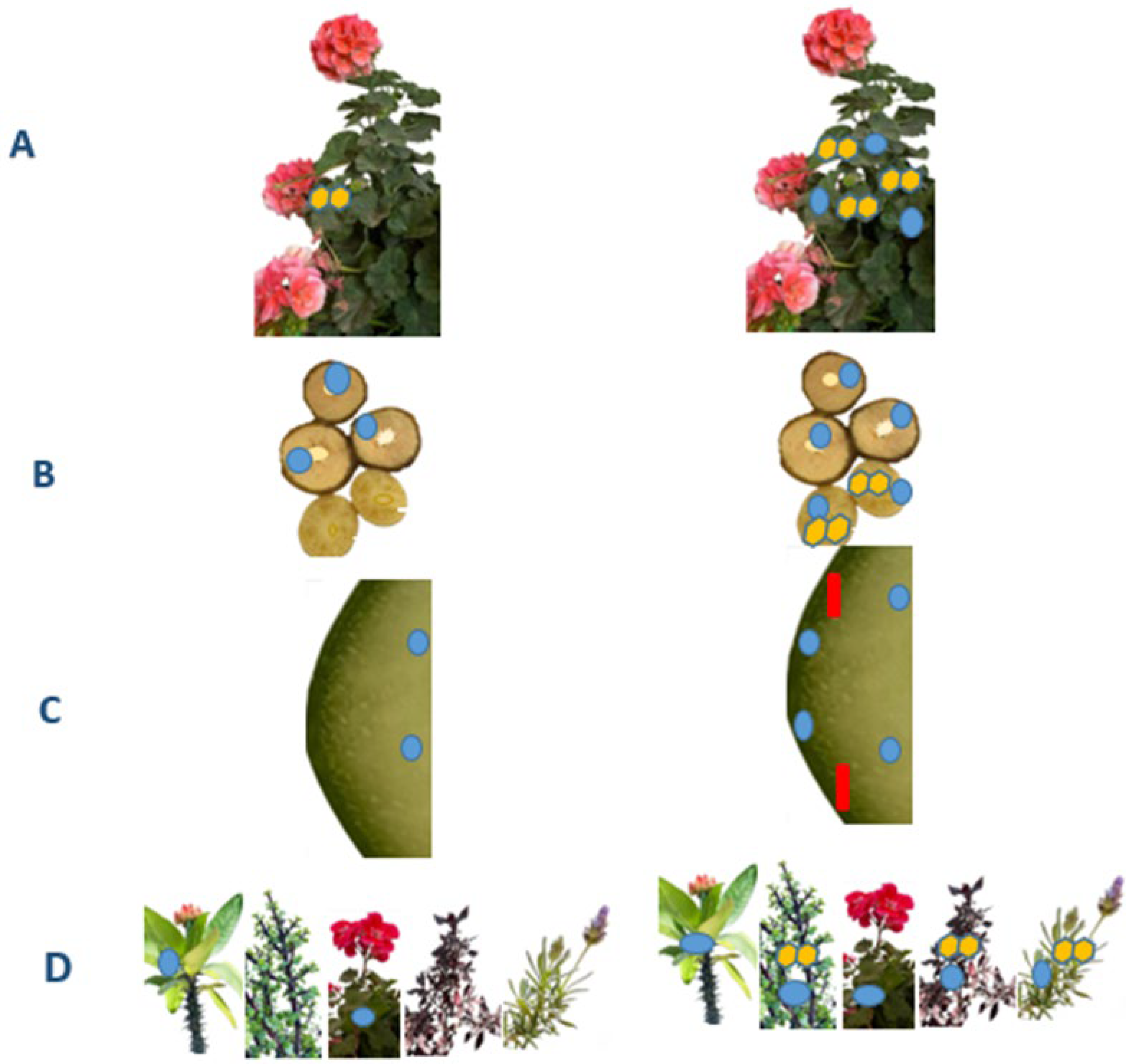 Agronomy 15 00620 g002 Agronomy 15 00620 g002