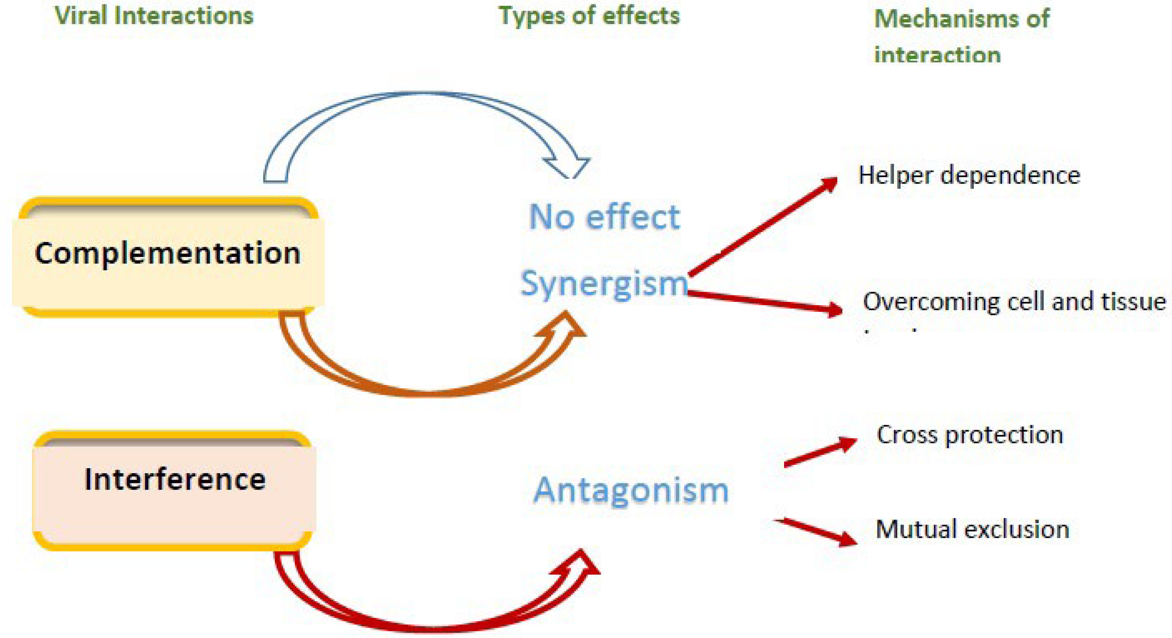 Agronomy 15 00620 g003 Agronomy 15 00620 g003