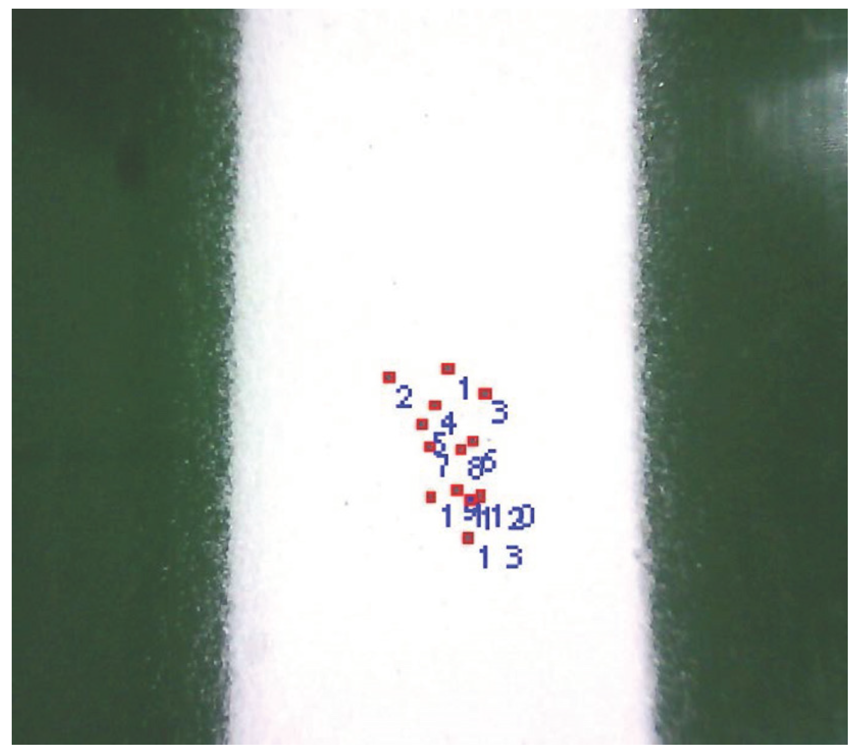 Agronomy 15 00622 g011