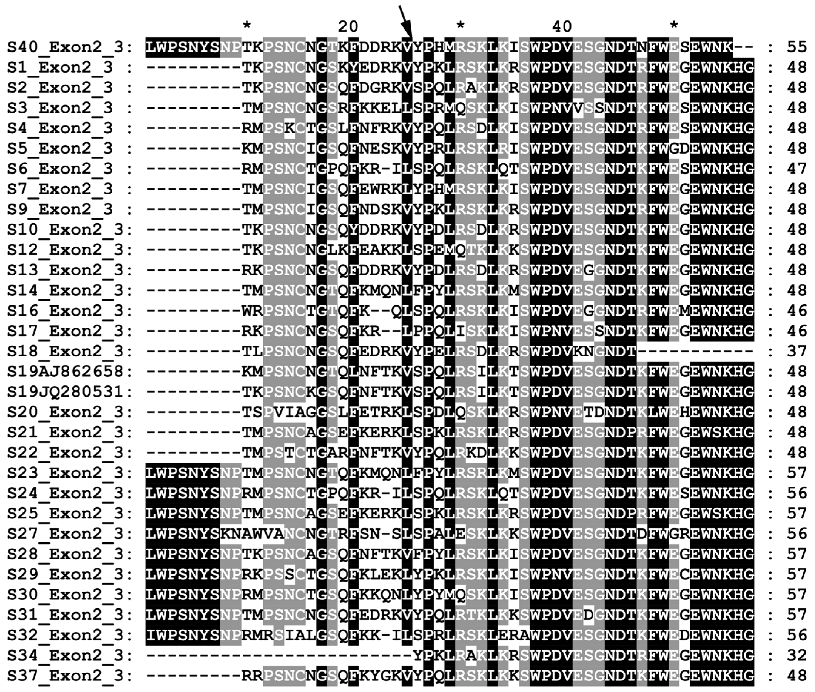 Agronomy 15 00646 g002