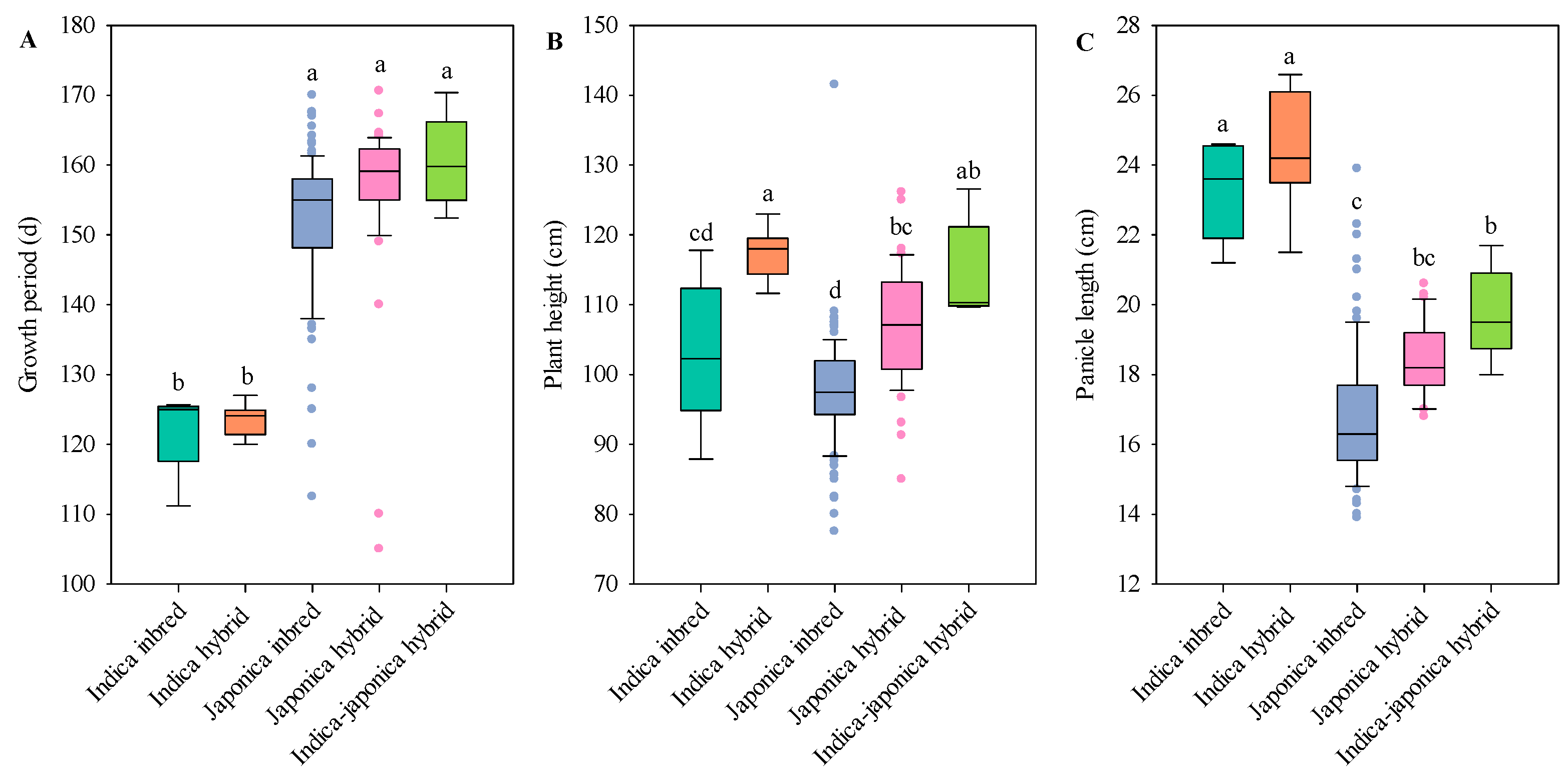 Agronomy 15 00670 g005